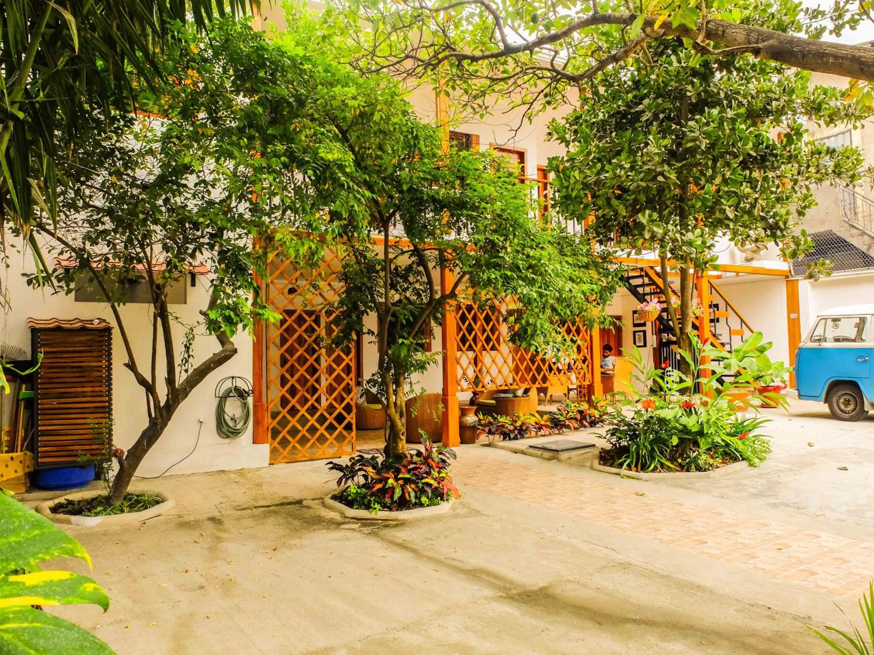 Patio in Hotel Boutique Platanal