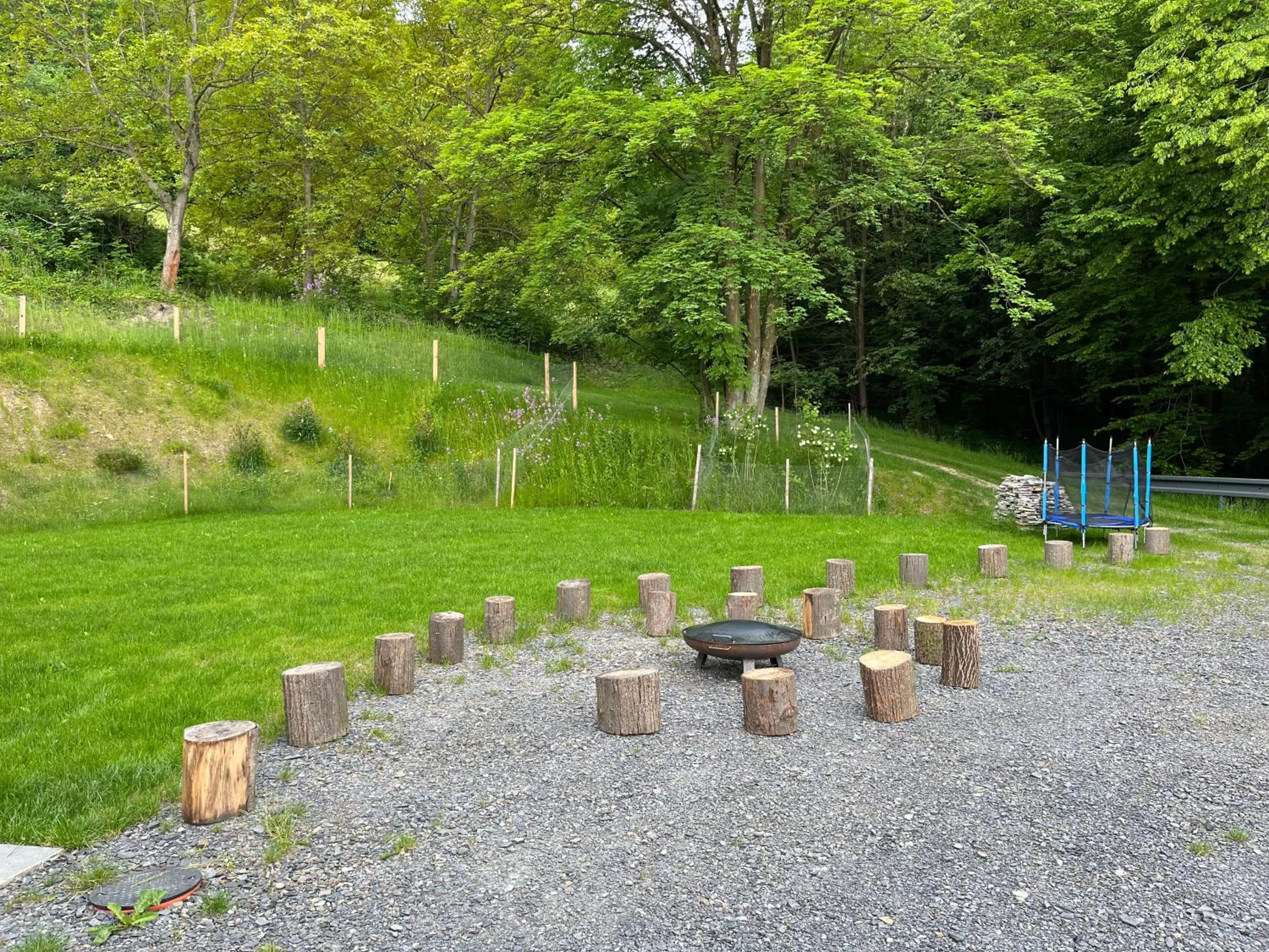 Garden in Hotel Edvard