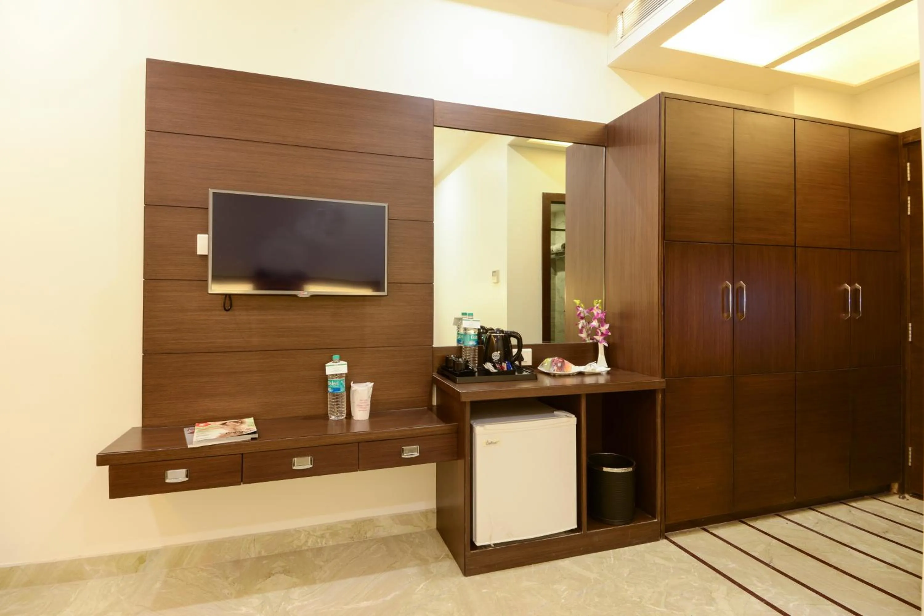 TV and multimedia in Hotel Alleviate