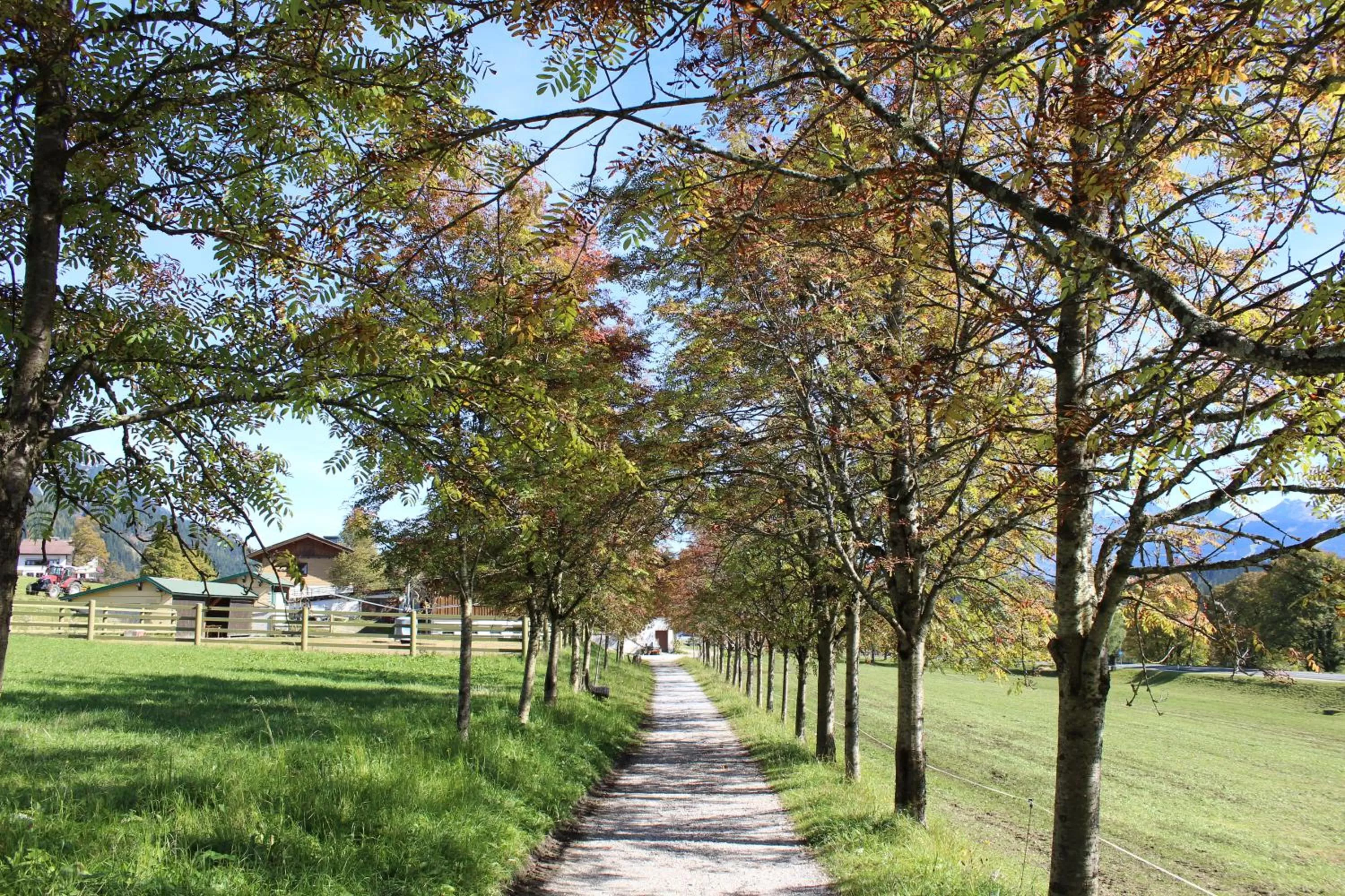 Hiking in Bergführerhaus