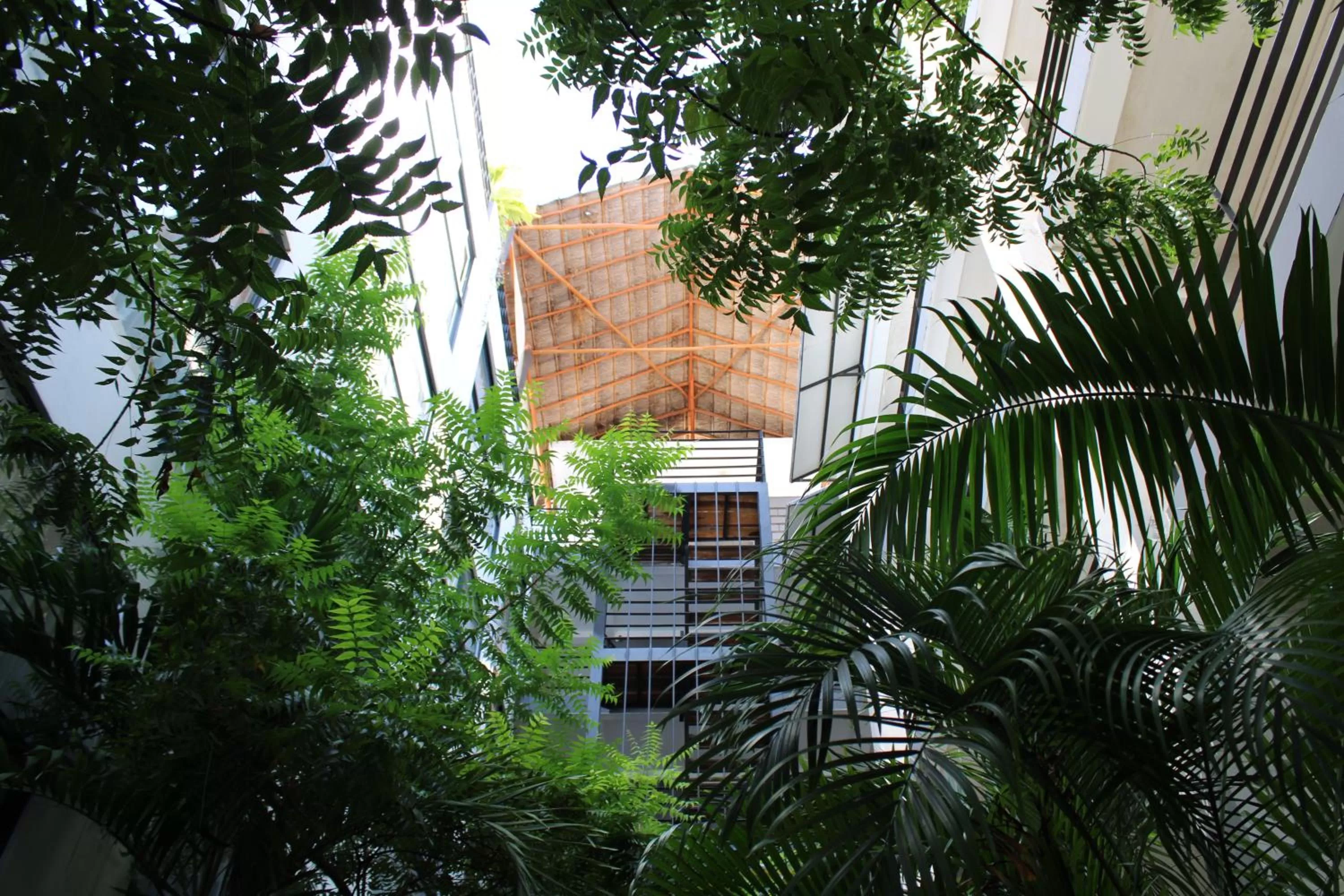 Day in Hotel 52 Playa del Carmen