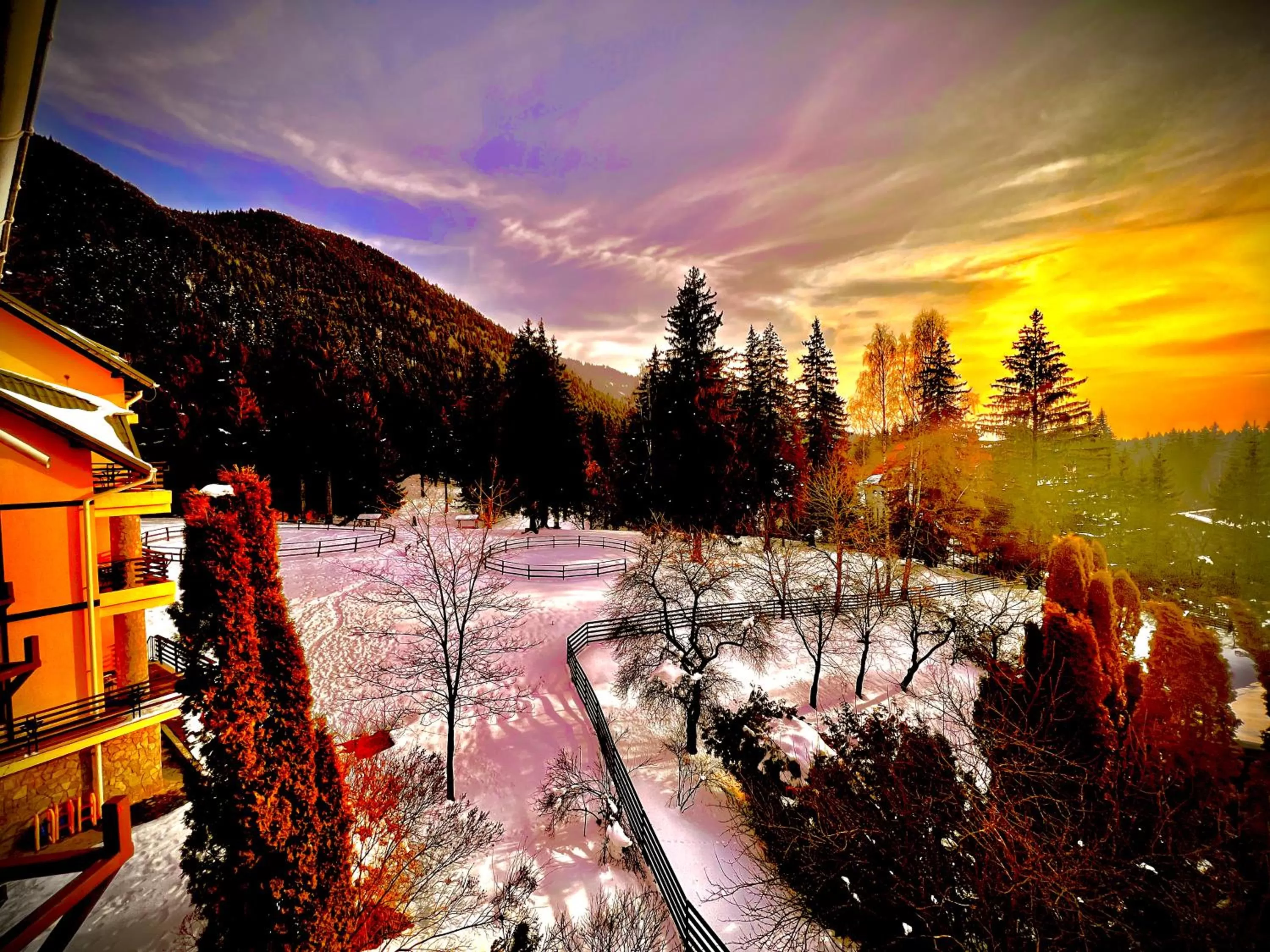 Natural landscape in Hotel Casa Viorel jacuzzi & saunas