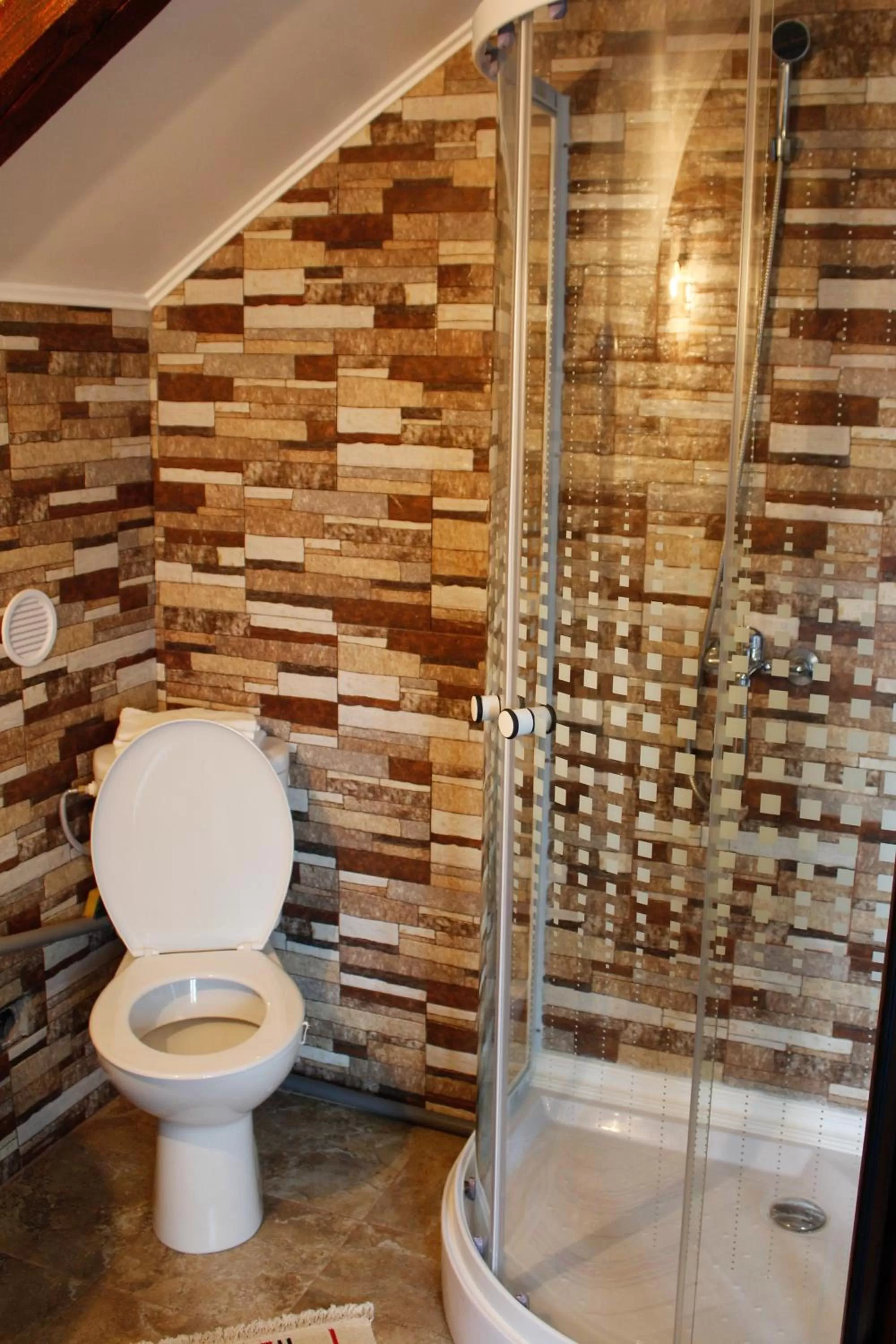 Shower in Pensiunea Taverna Bucium