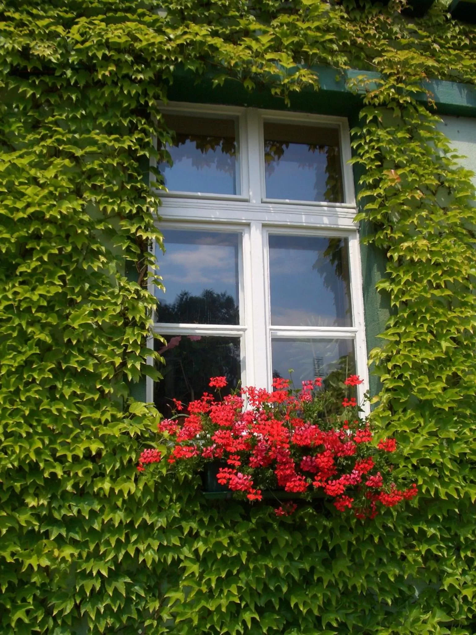 Facade/entrance in Hotel Zur Alten Oder- Frankfurt-Oder