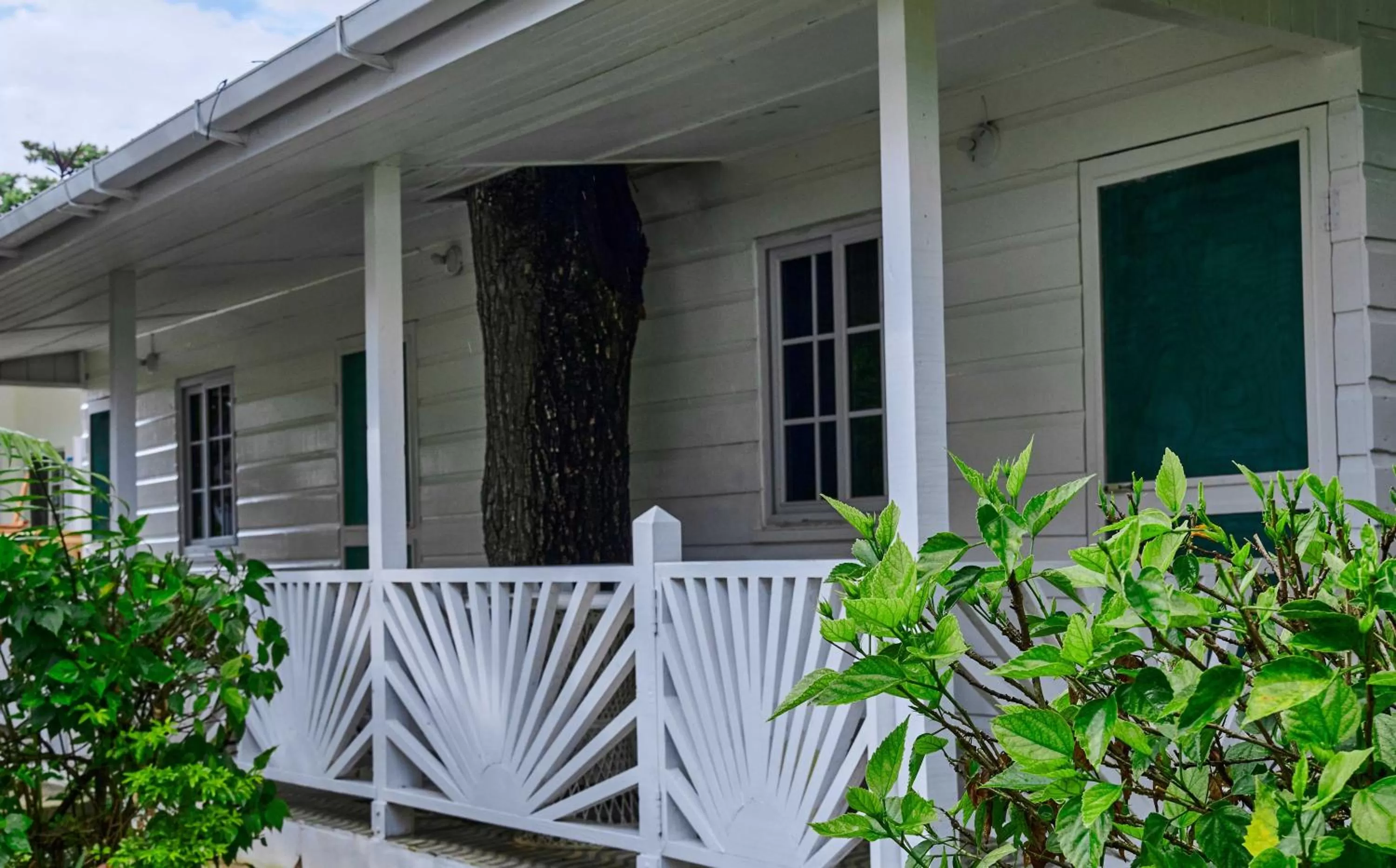 Patio in Yellow Bird Sea