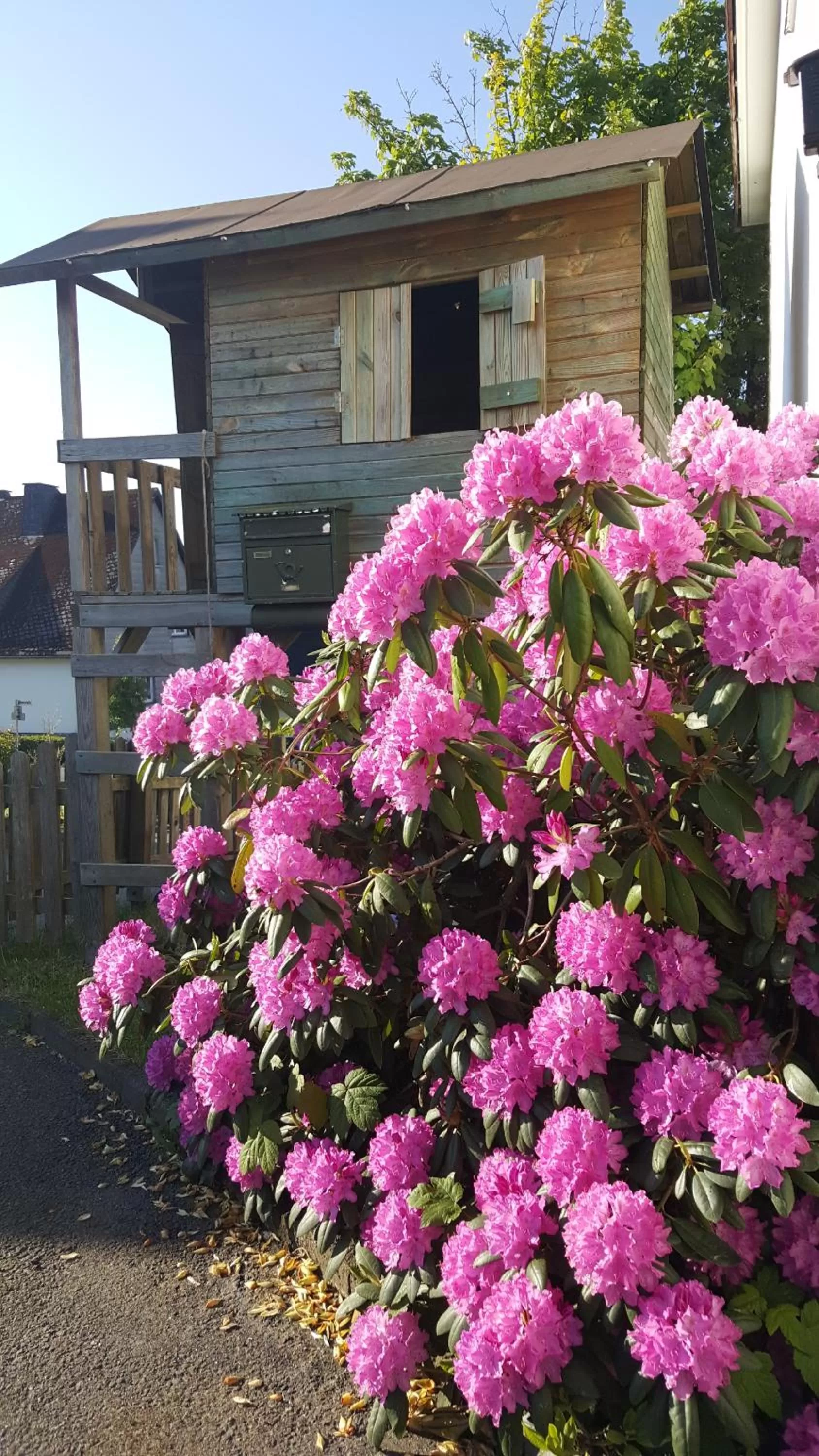 Berghotel Natura Bed & Breakfast