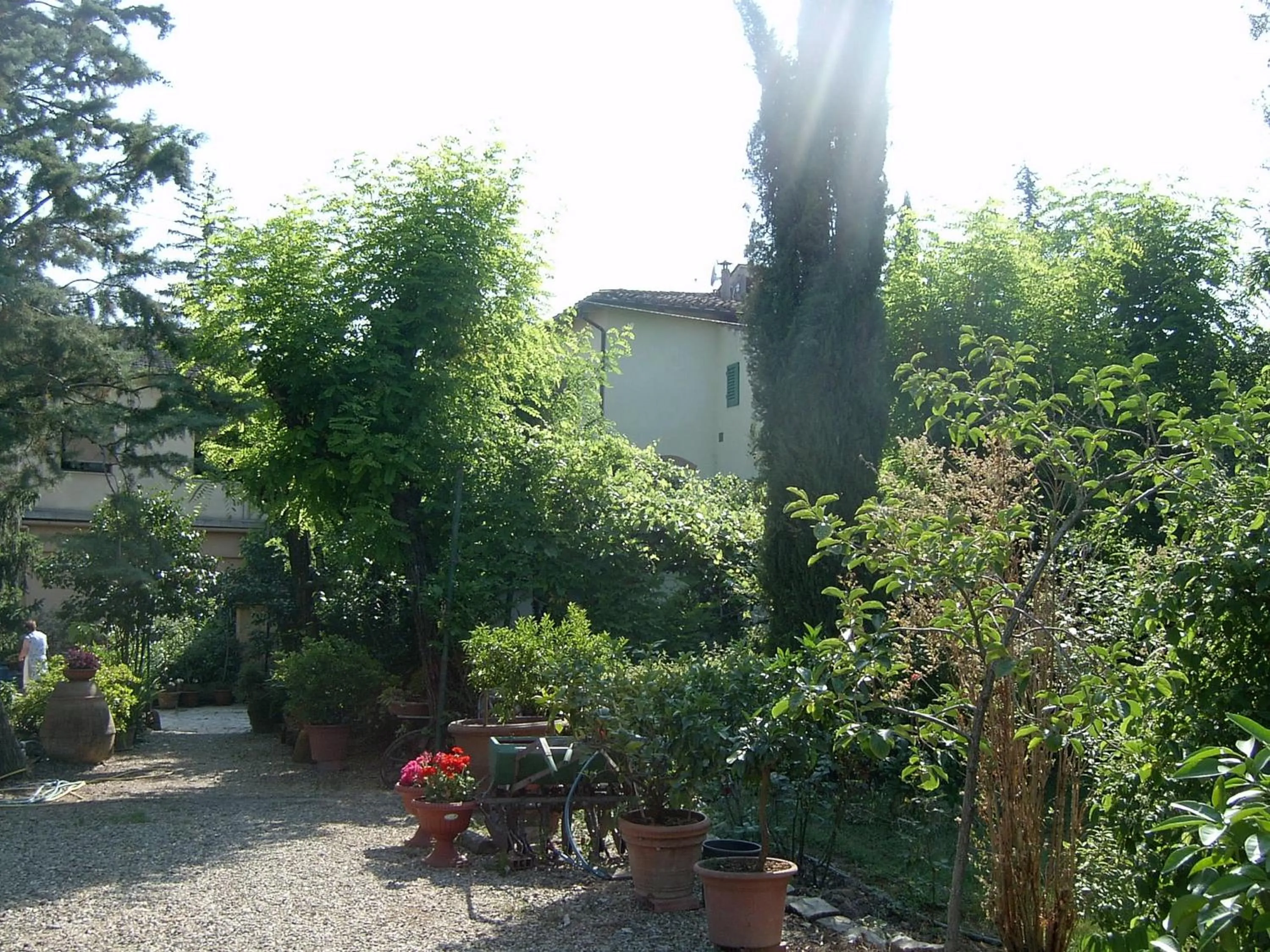 Garden view in Residence Casprini da Omero