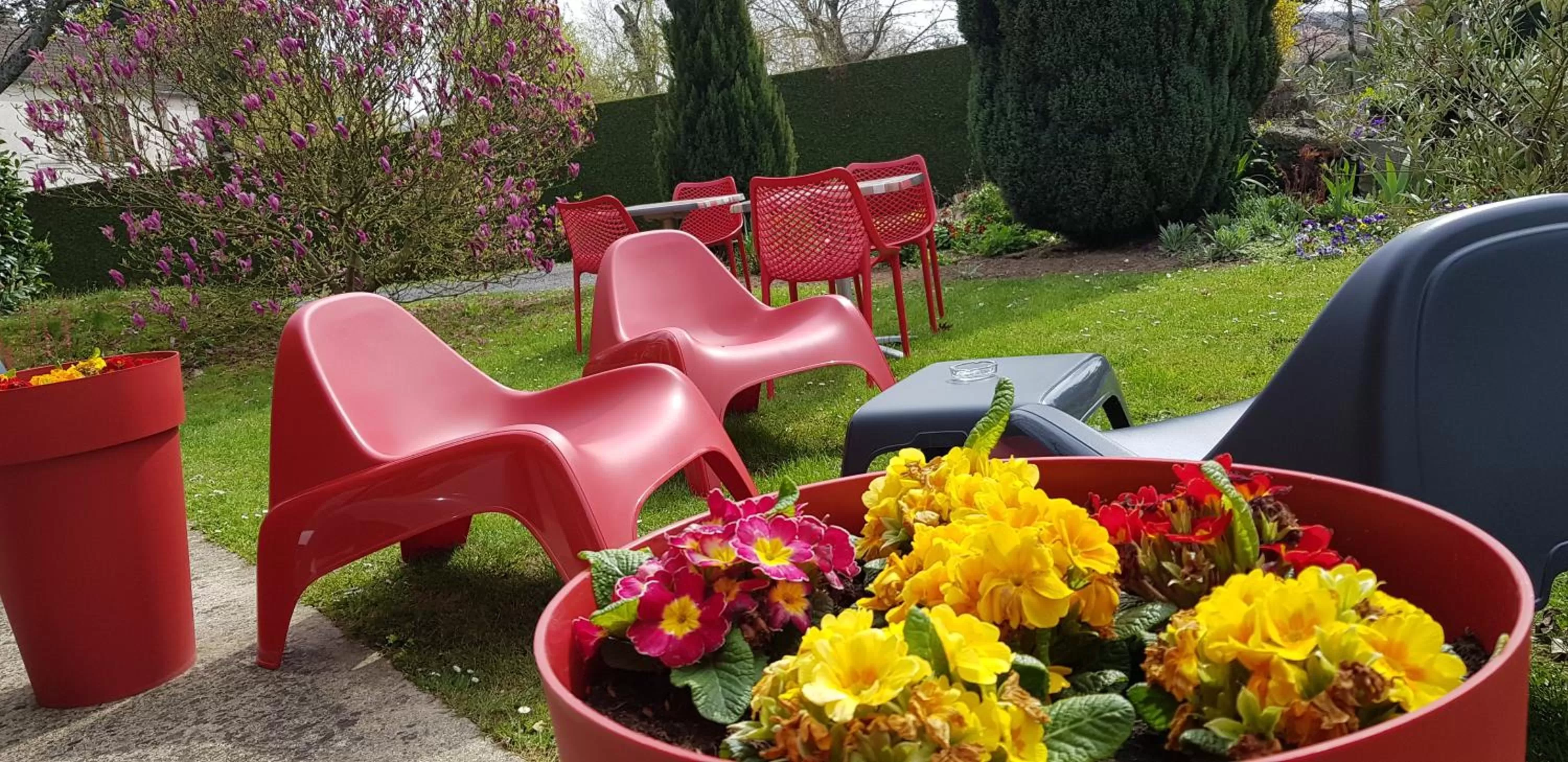 Patio in Hotel Bonanite