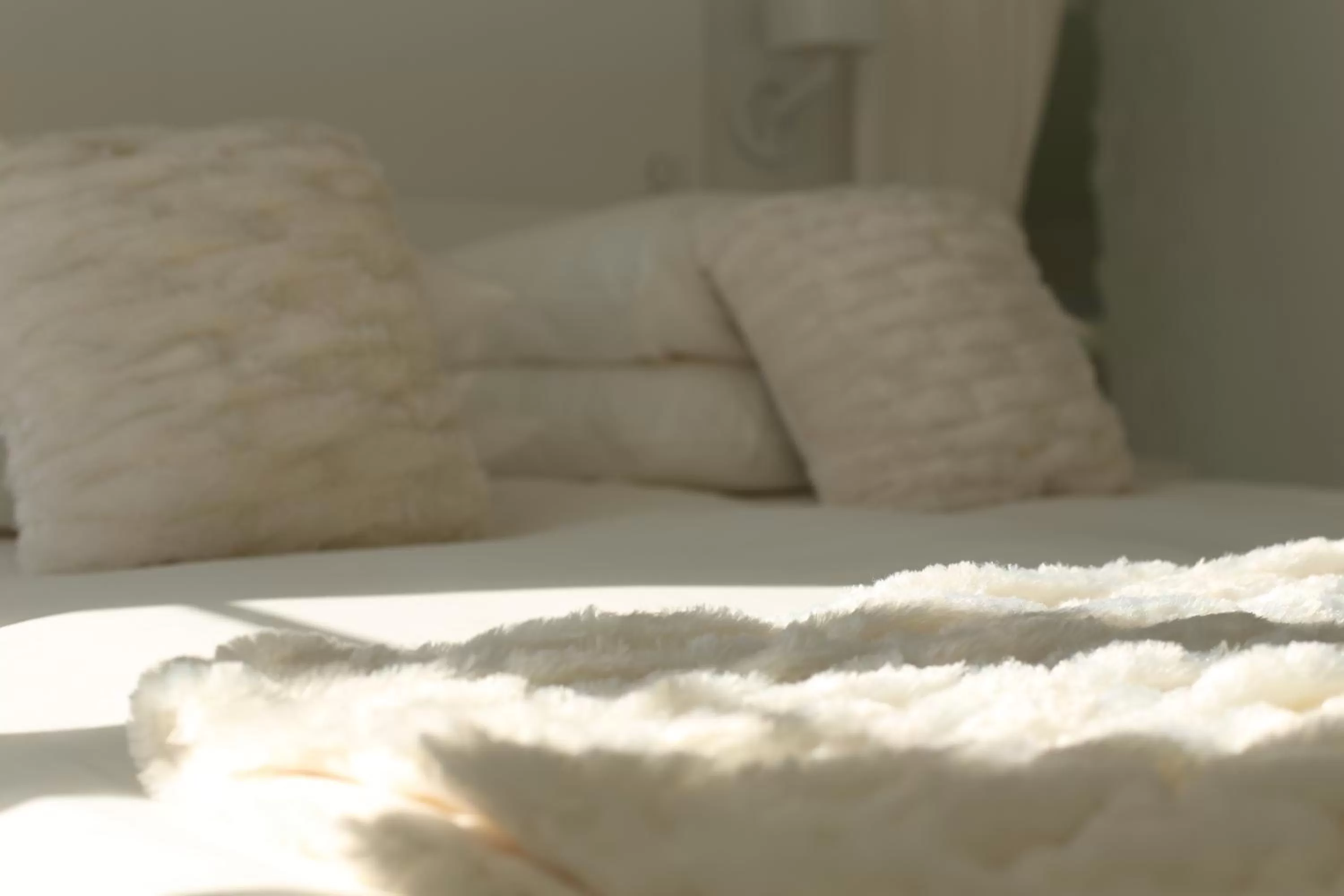 Decorative detail, Bed in Les Rêves de Flamboin