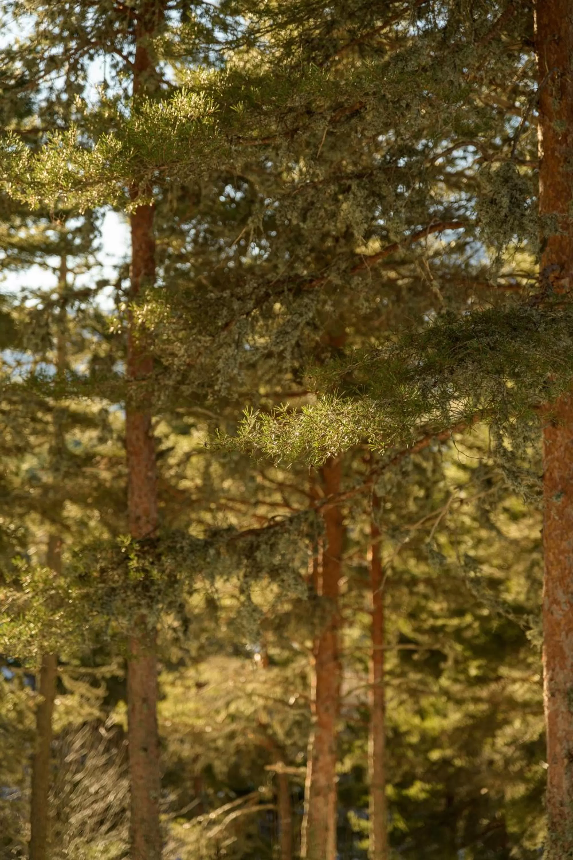 Day in Pena D'Água Boutique Hotel & Villas