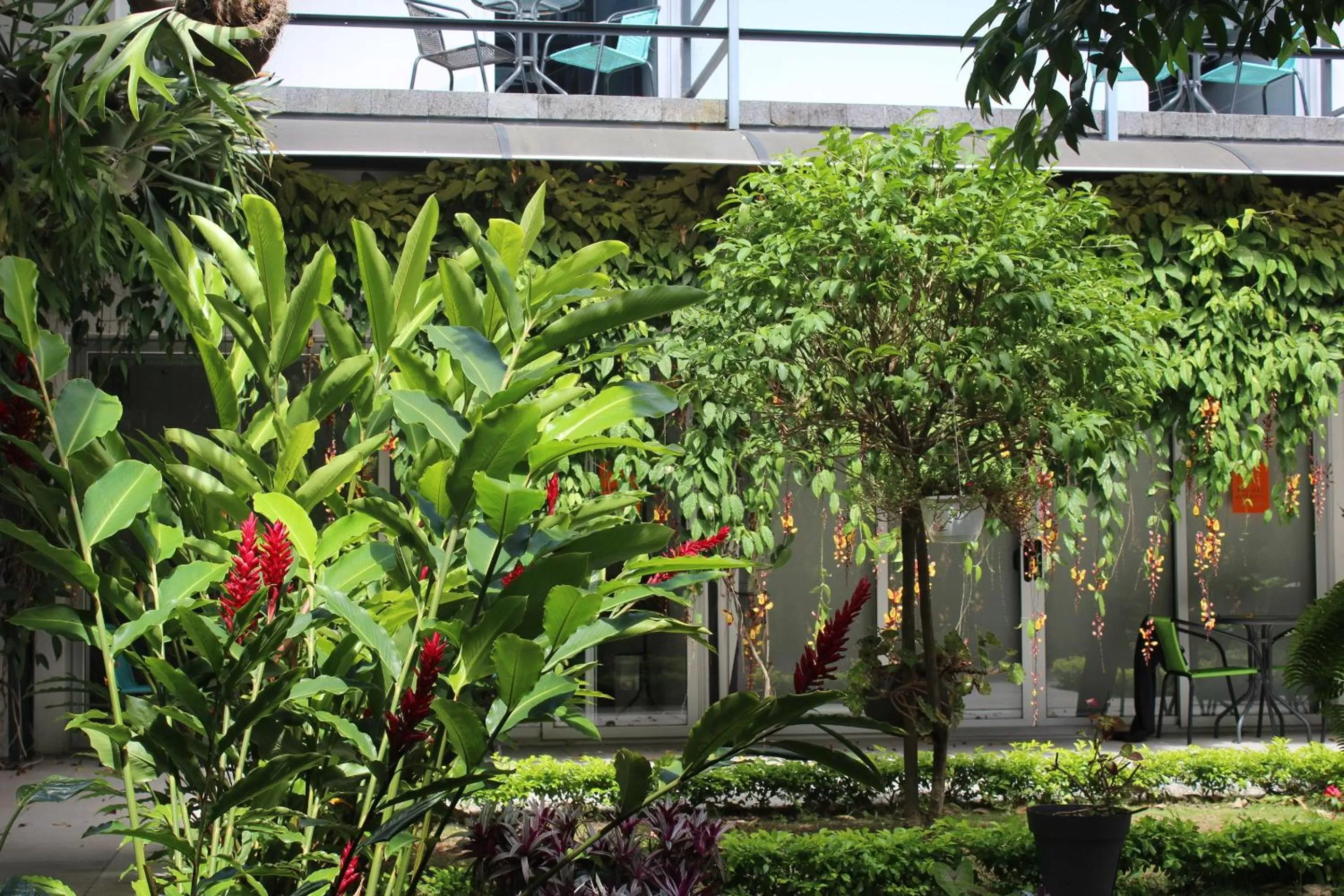 Garden in Cando Living Apartments in Central Avenue