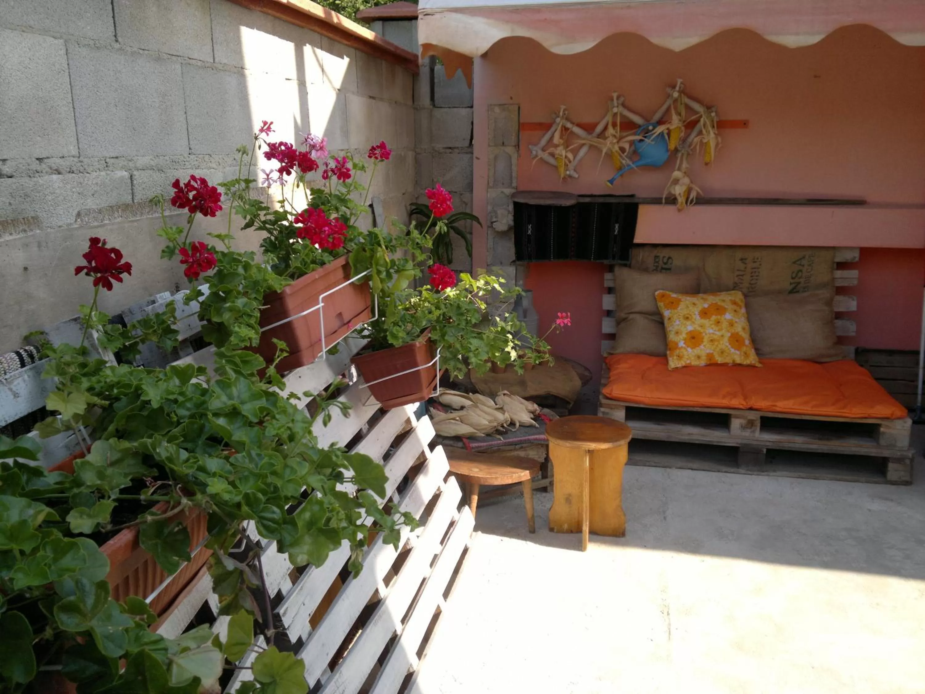 Area and facilities in Hotel Poseidon