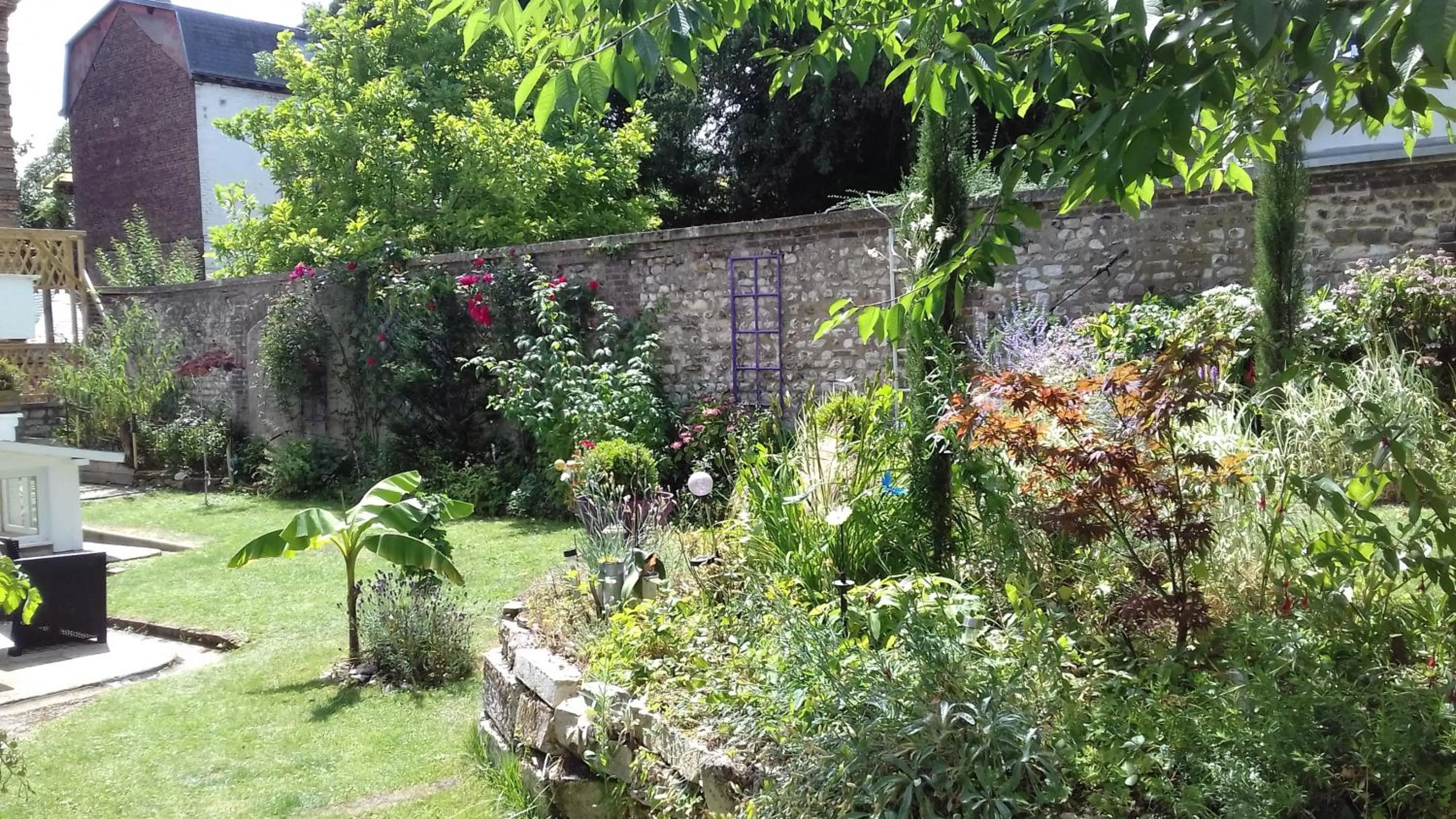Garden in Hôtel Céline - Hôtel de la Gare