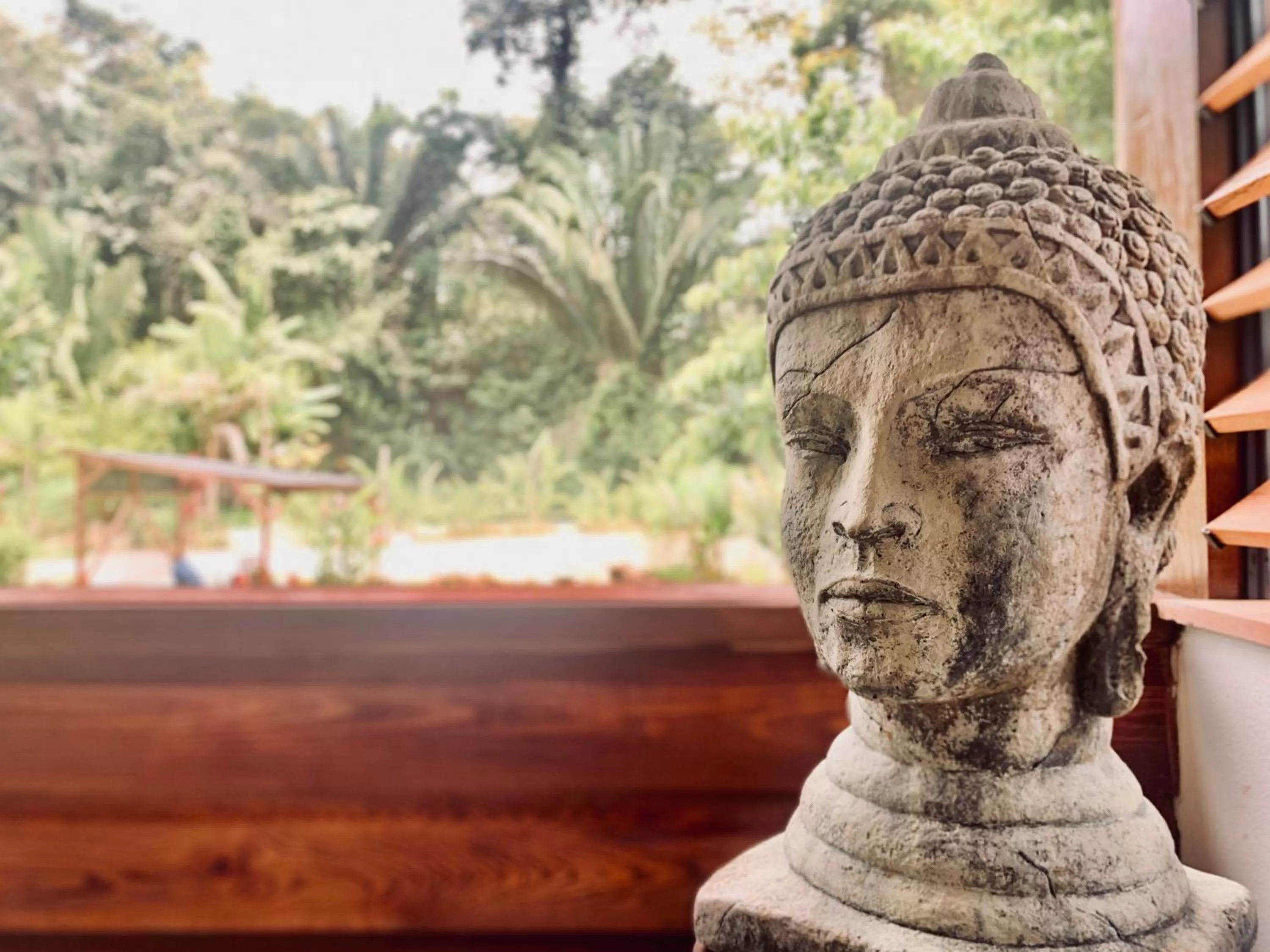 Restaurant/places to eat in Sattva Land