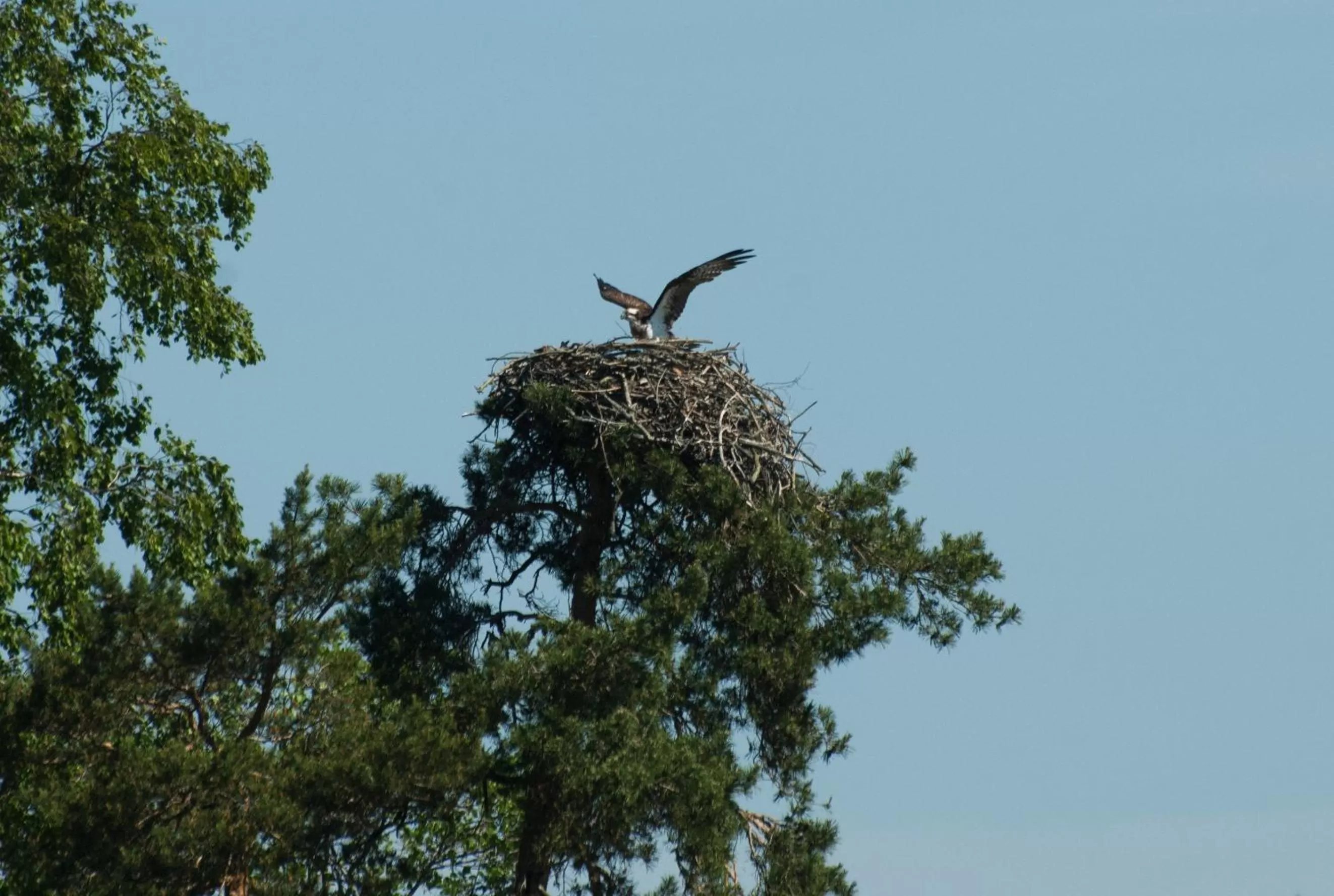 Spring in Hotel & Spa Resort Järvisydän