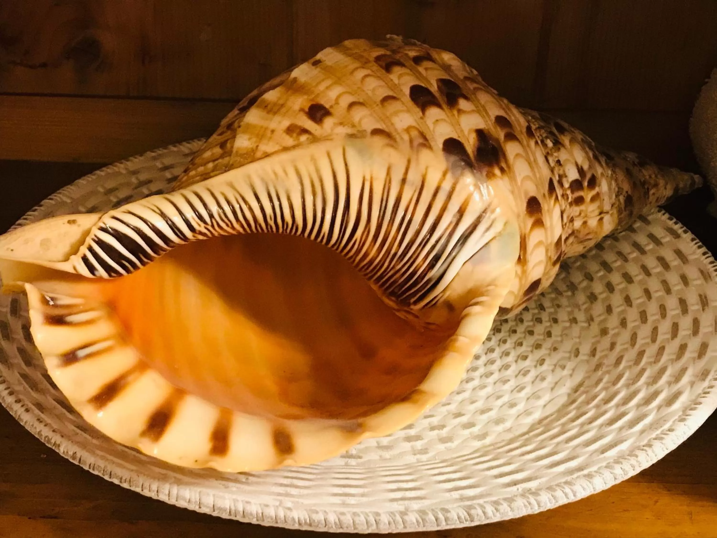 Shower in Bed and Breakfast Bavaria München