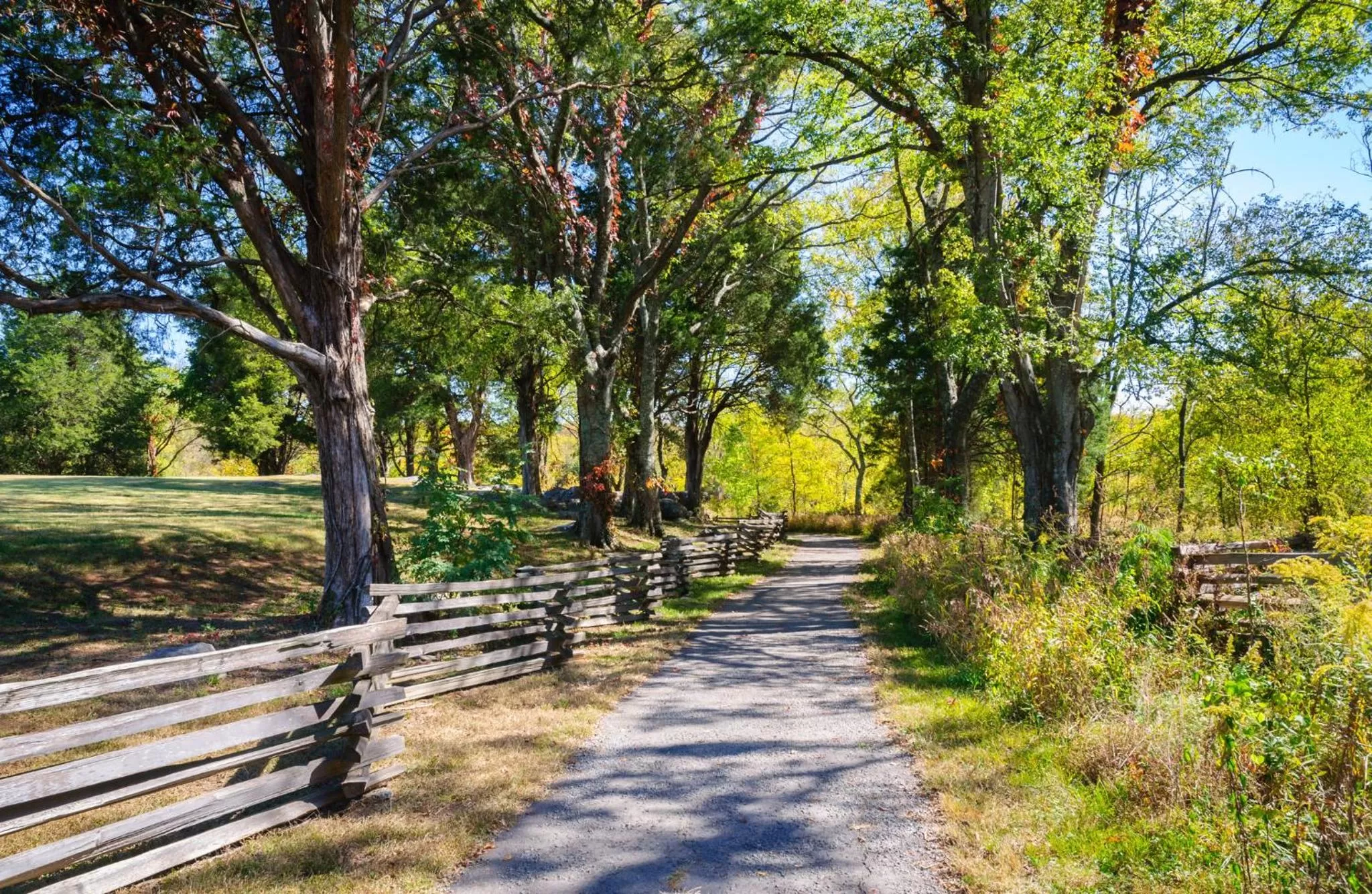 Nearby landmark in Staybridge Suites Nashville SE - Murfreesboro by IHG