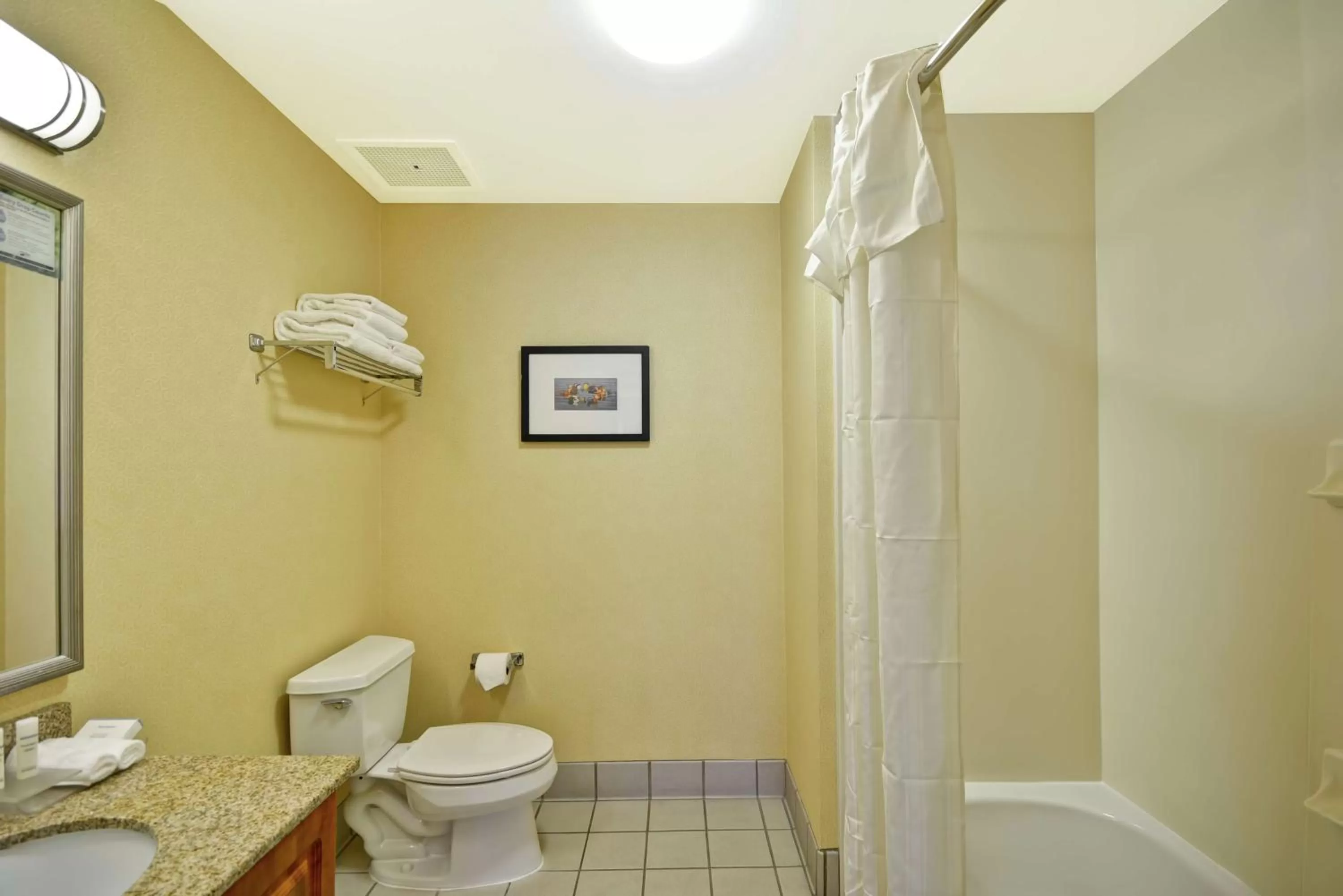One-Bedroom Queen Suite - Non-Smoking in Homewood Suites by Hilton Newark-Wilmington South Area
