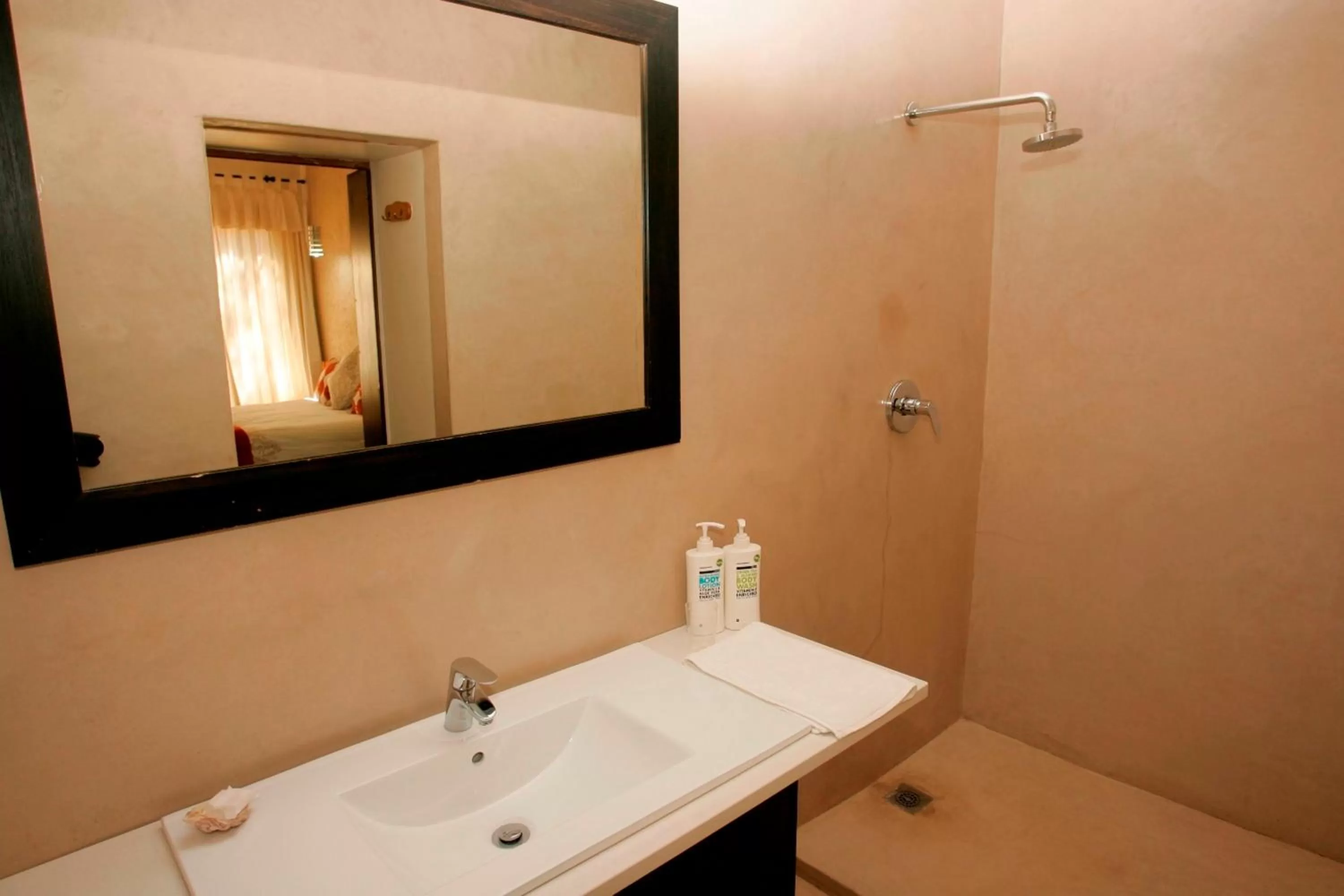 Shower in Jedidja Bed and Breakfast