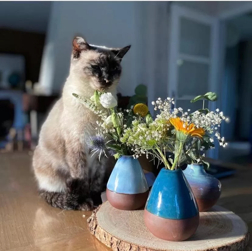 Cocon de douceur à deux pas de la gare