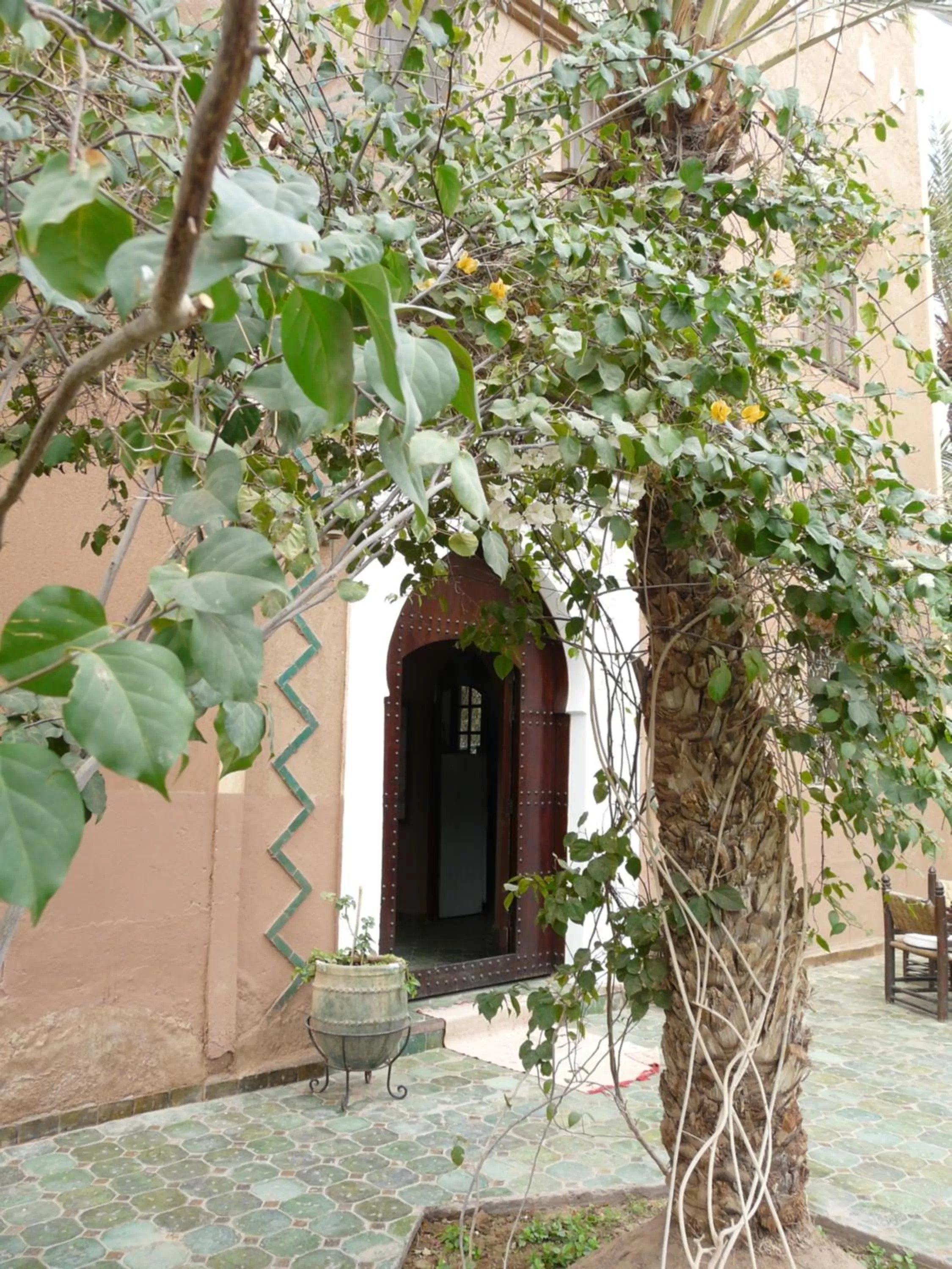Facade/entrance in Dar Nakhla - Zagora guest house