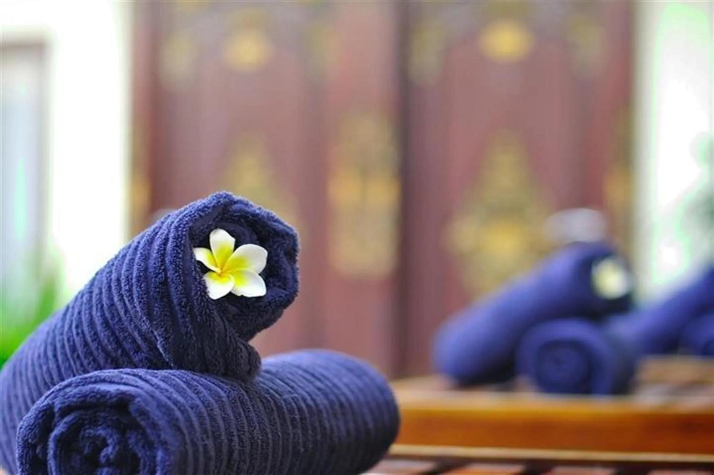Swimming pool in Coco De Heaven House