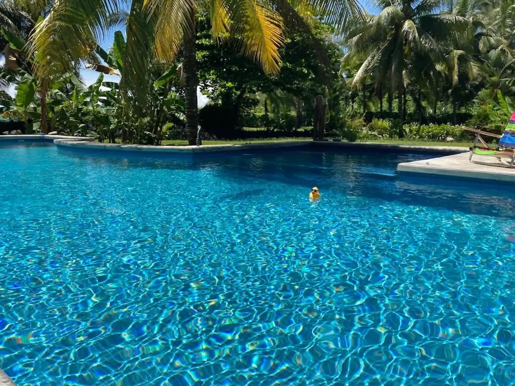 Garden, Swimming Pool in Sand Dollar Beach Bed & Breakfast