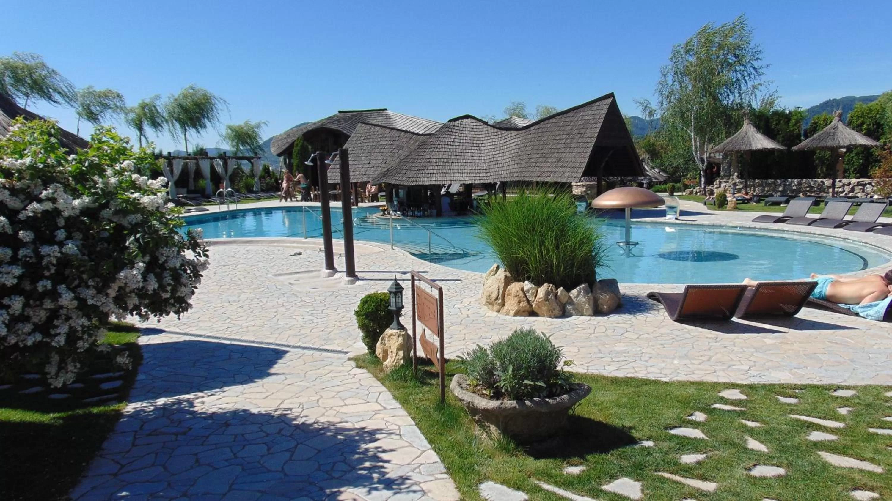 Swimming pool in Castel Transilvania