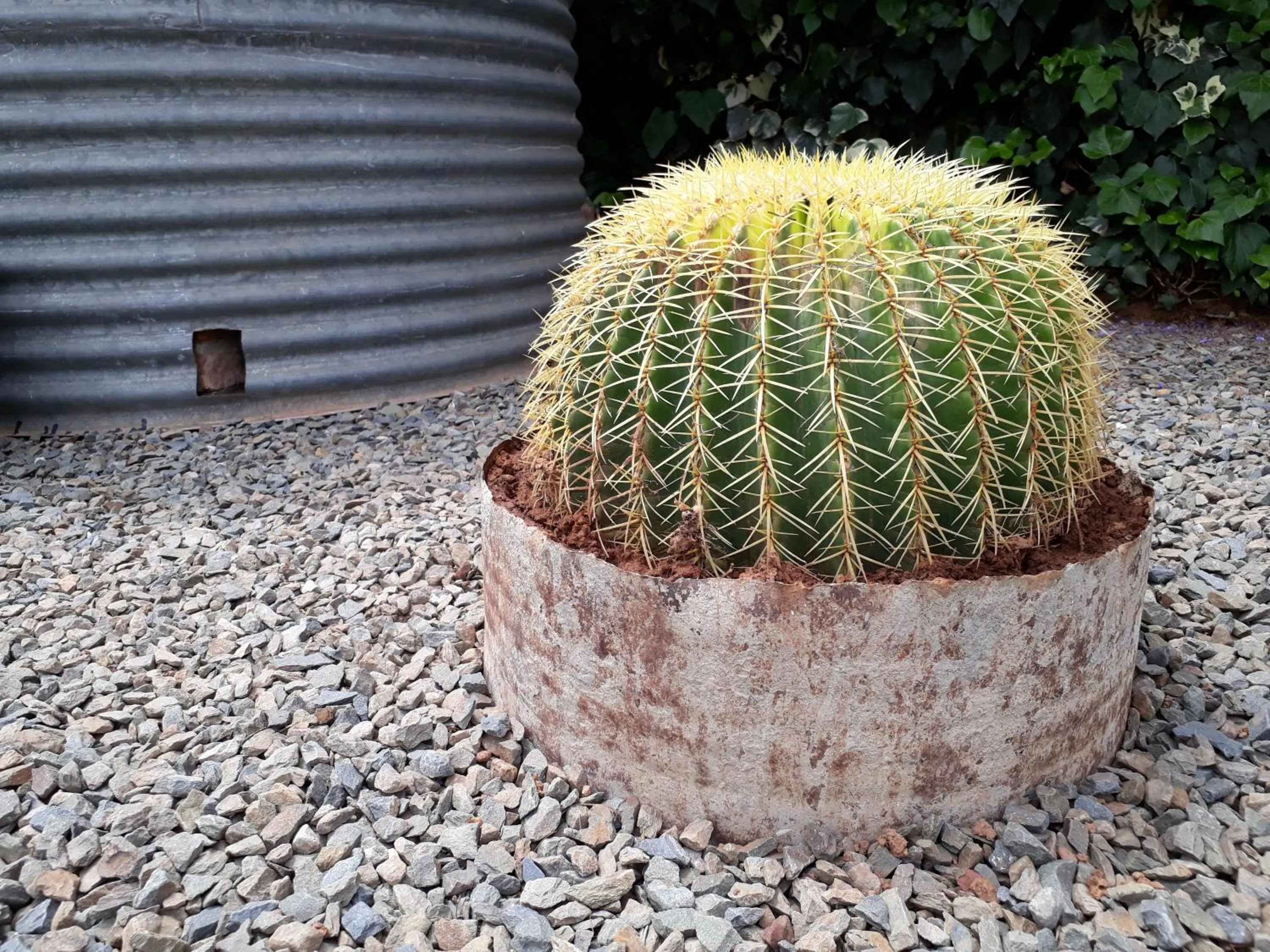 Karoo Sun Boutique Guest House