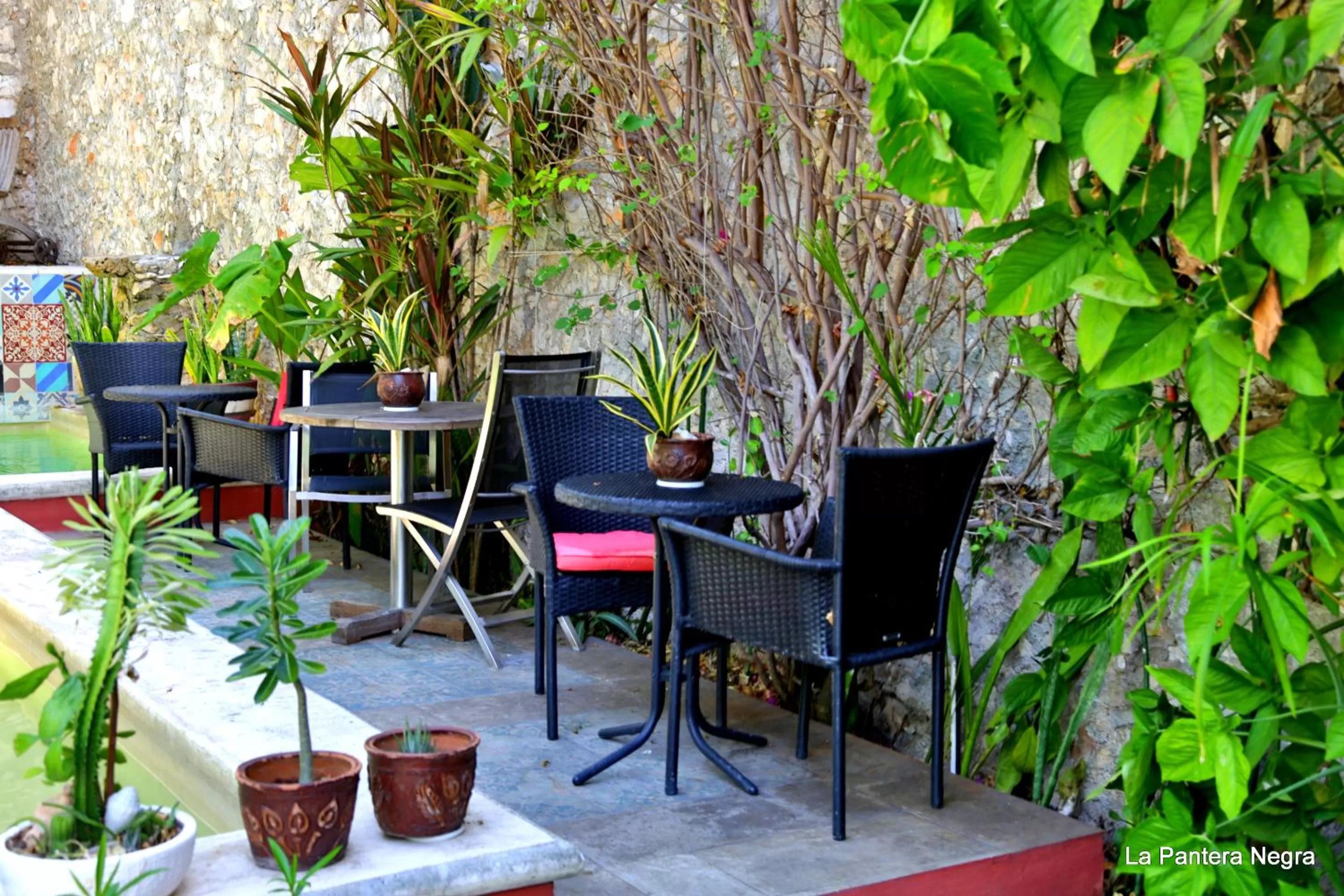 Balcony/Terrace, Restaurant/Places to Eat in La Pantera Negra