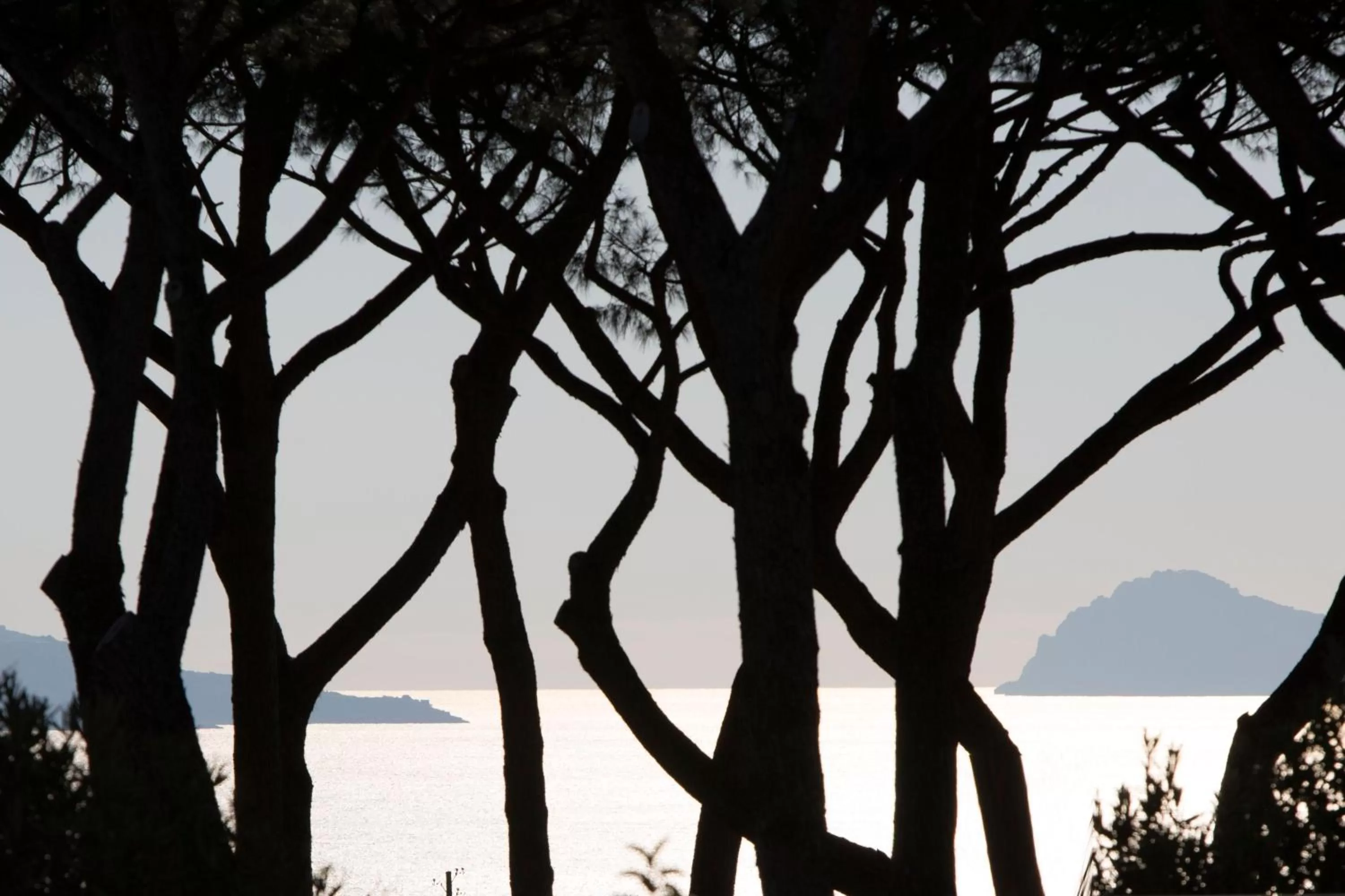 Sea view in Pachamama