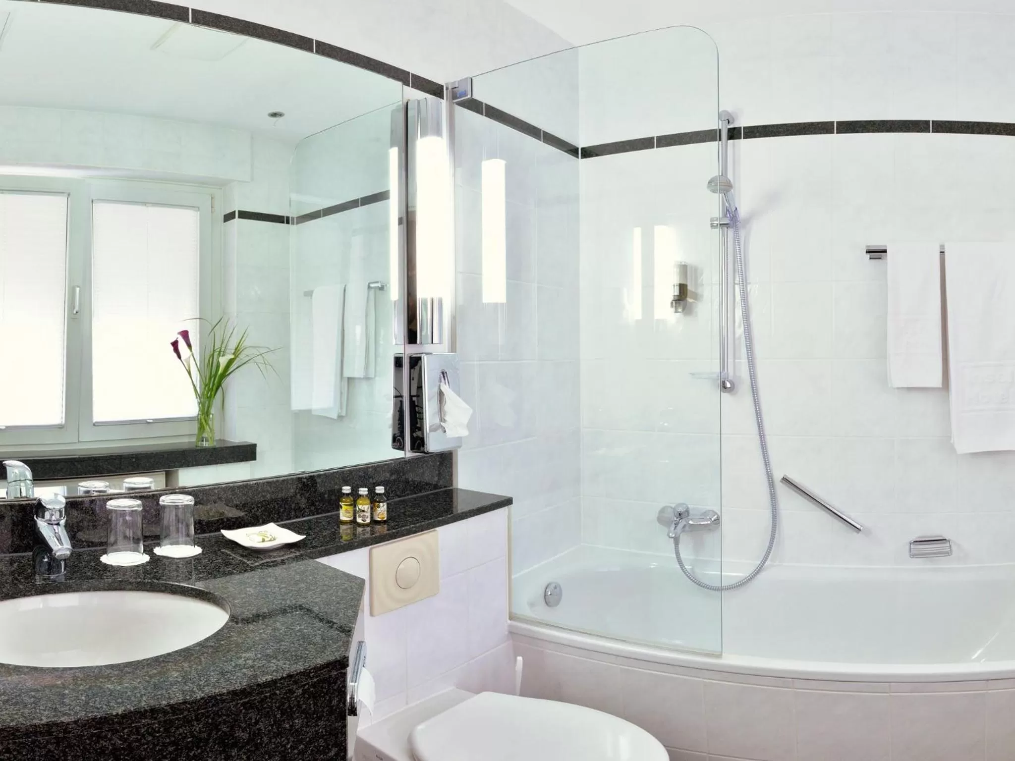 Toilet in Insel Hotel Bonn - Superior