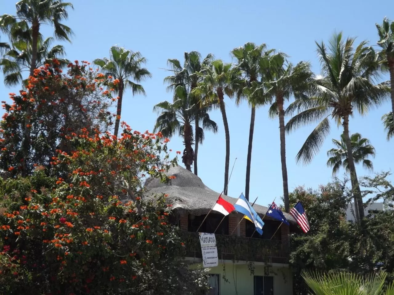 Property building in Hotel Posada Señor Mañana