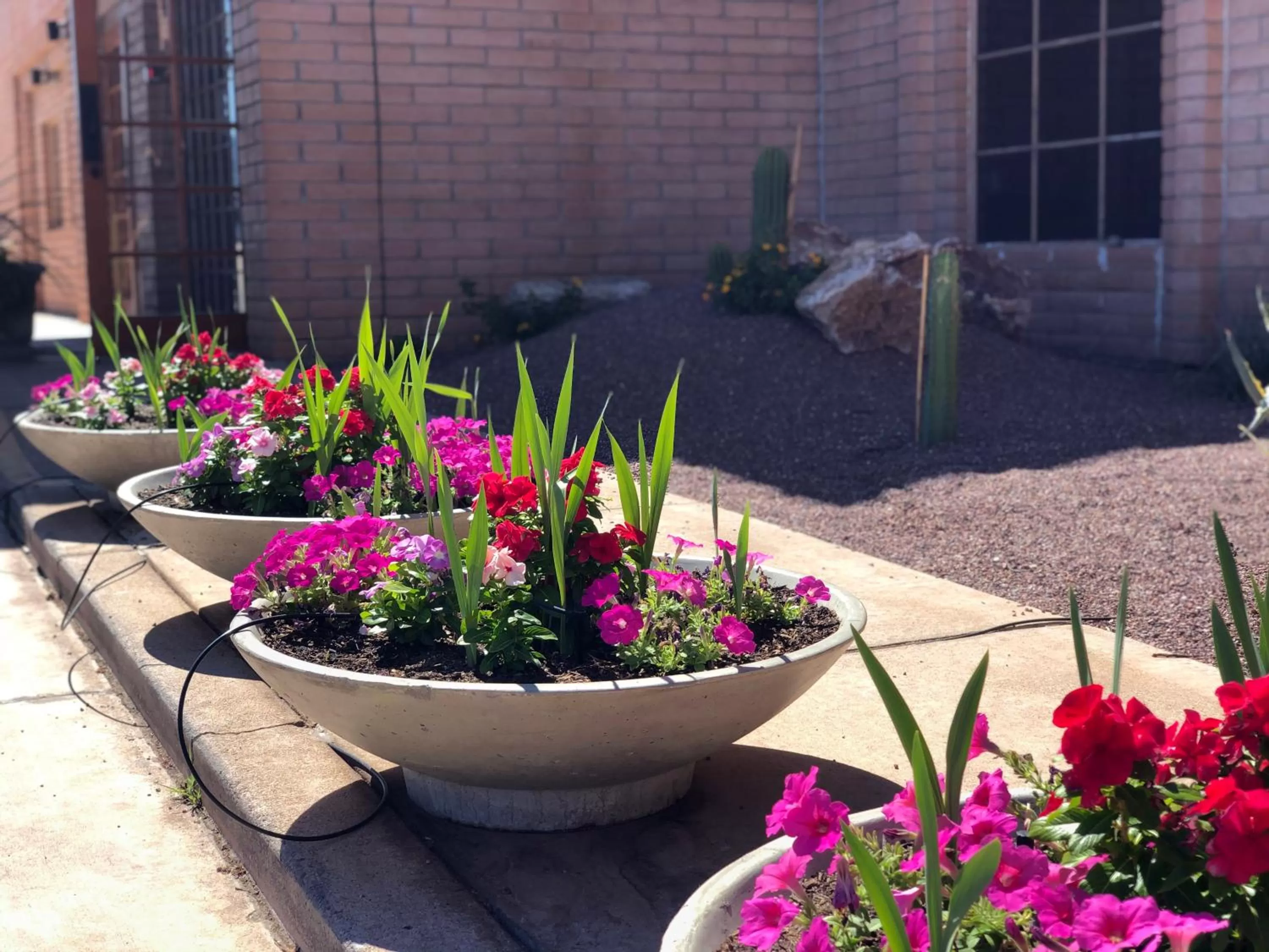 Property building in Sierra Suites Boutique Hotel