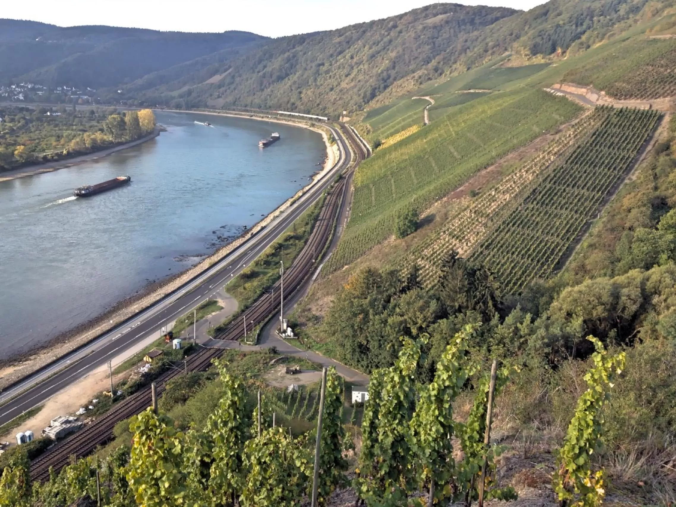 River view in Hotel Rheinlust