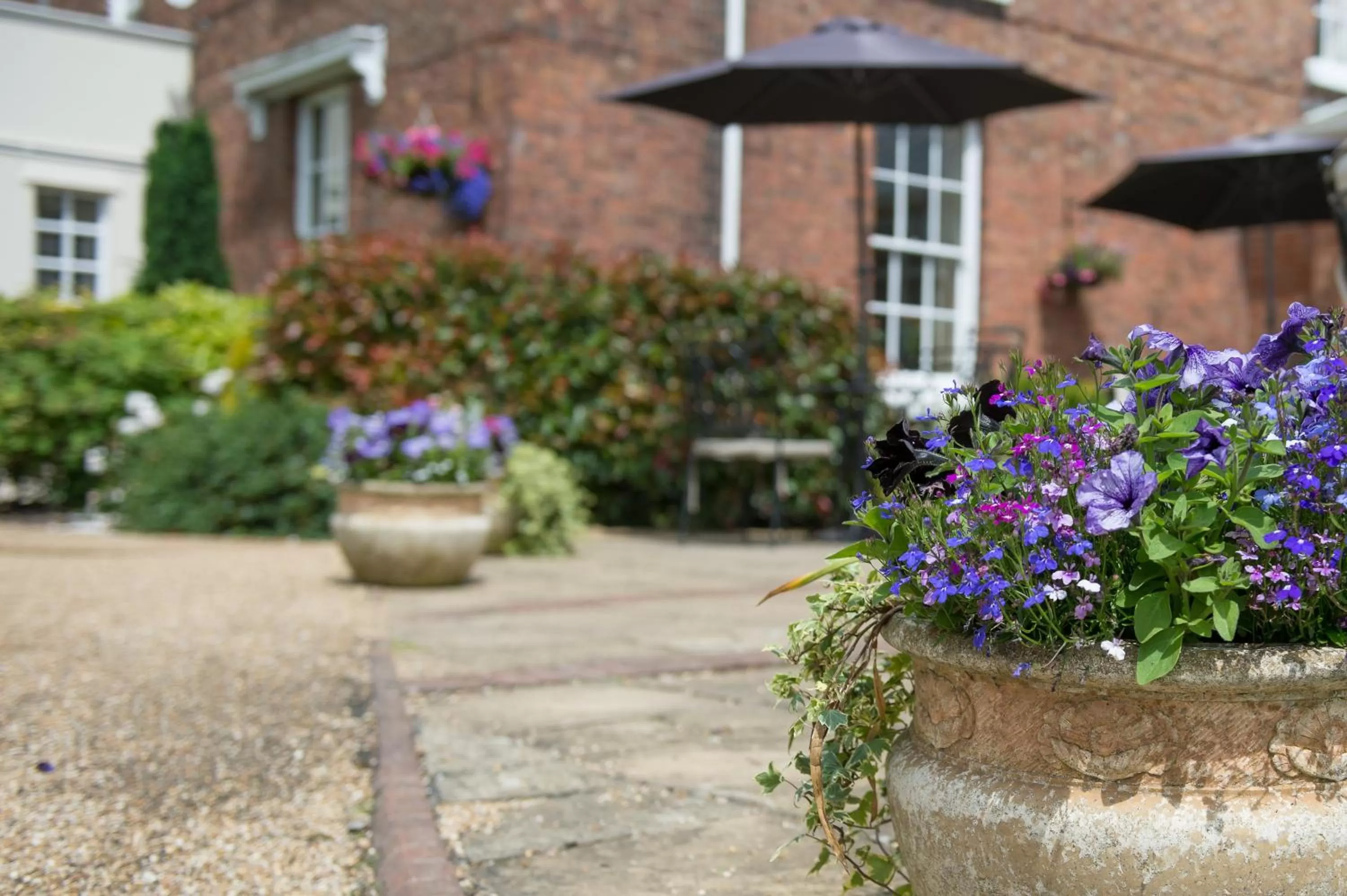 Garden in Hadley Park House Hotel