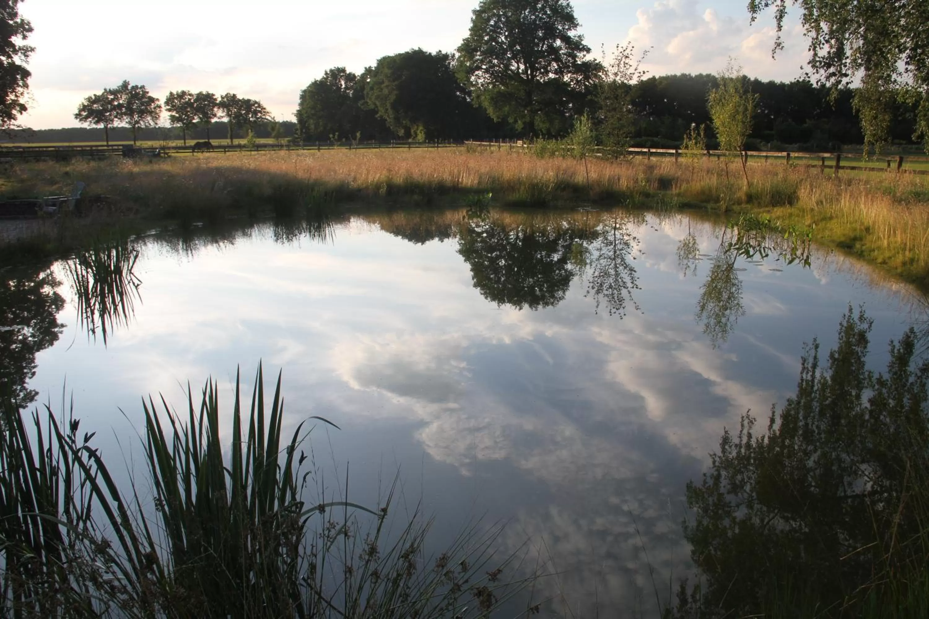 Garden view in Hof van Eersel