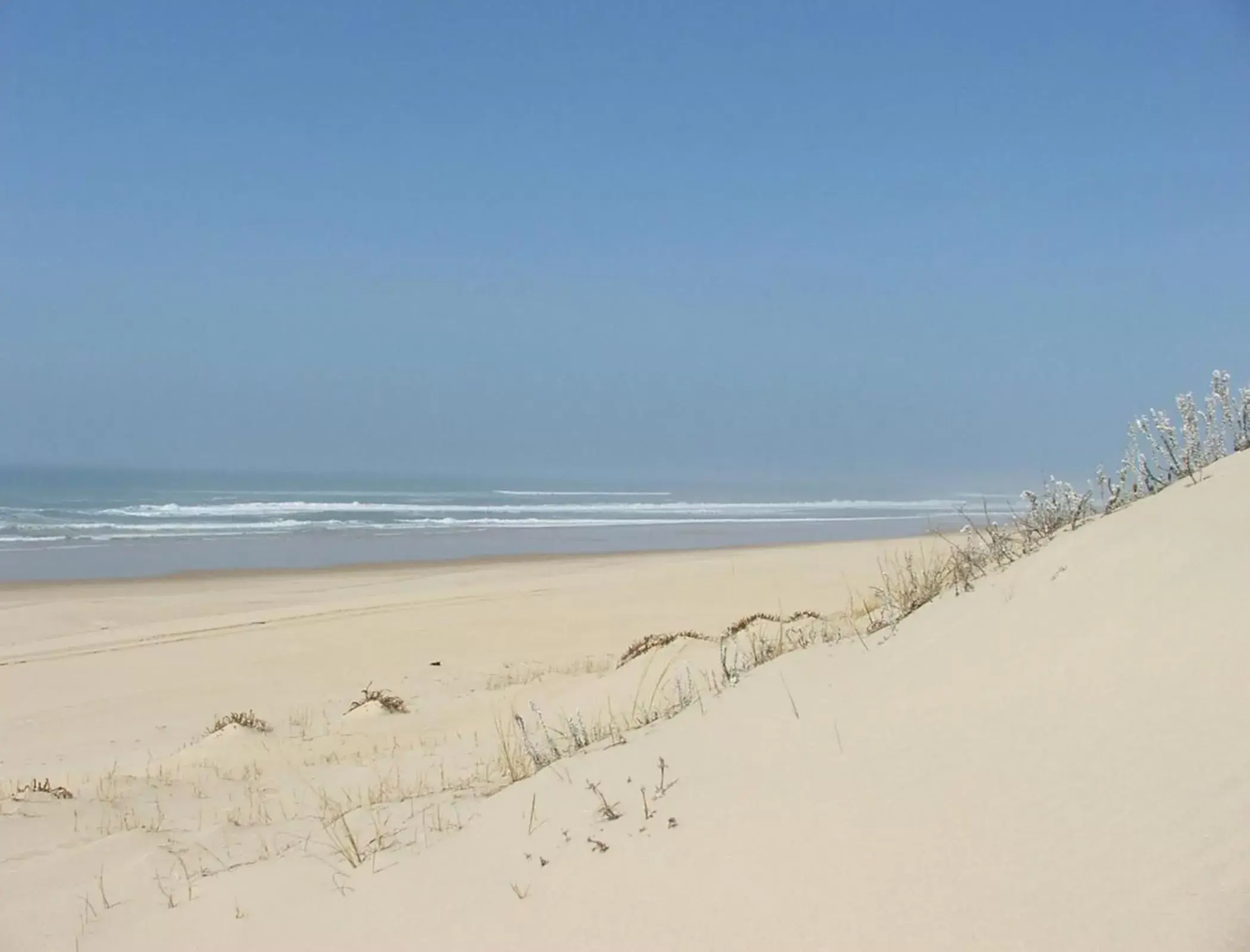 Les Flots Bleus Les Flots Bleus