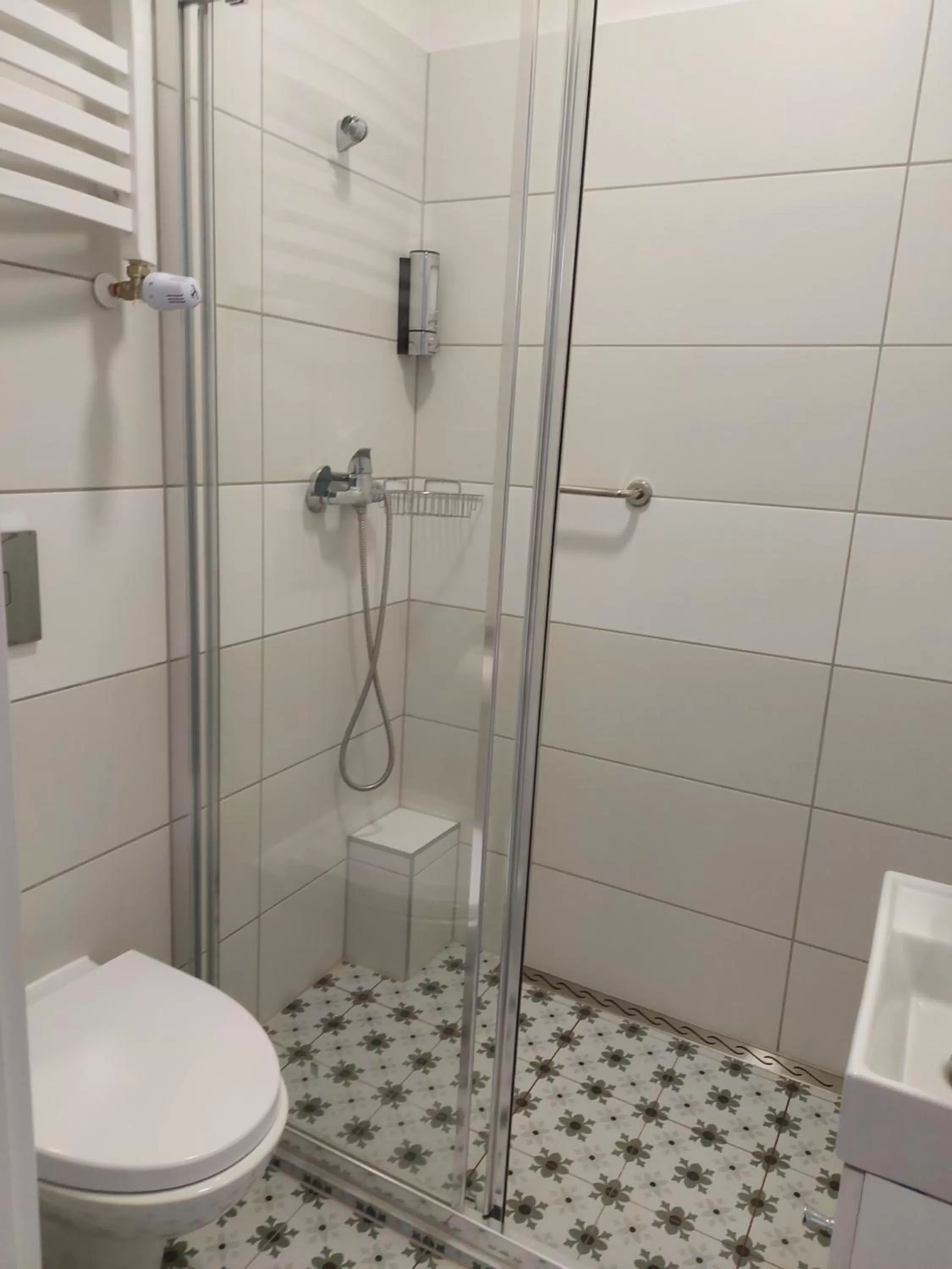 Shower in Kamienica1924