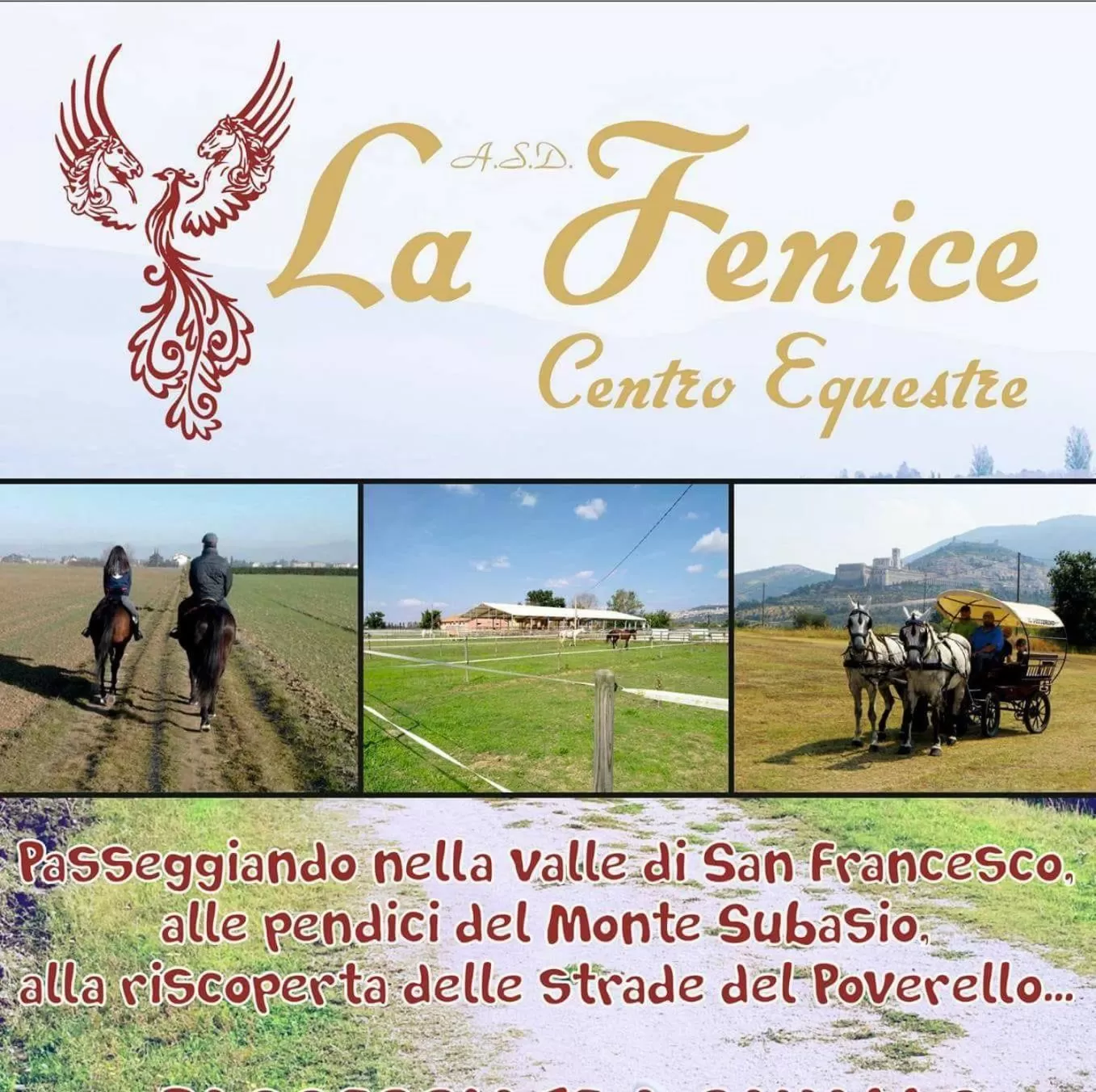 Area and facilities in Hotel Assisivm Antica Dimora AD