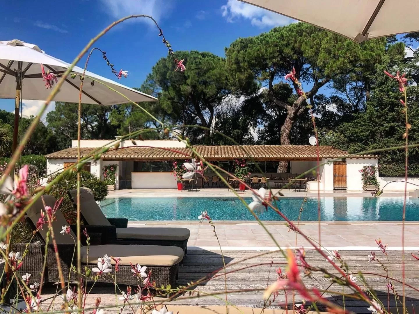 Le Mas de l'Espérance - Chambres d'hôtes de Prestige