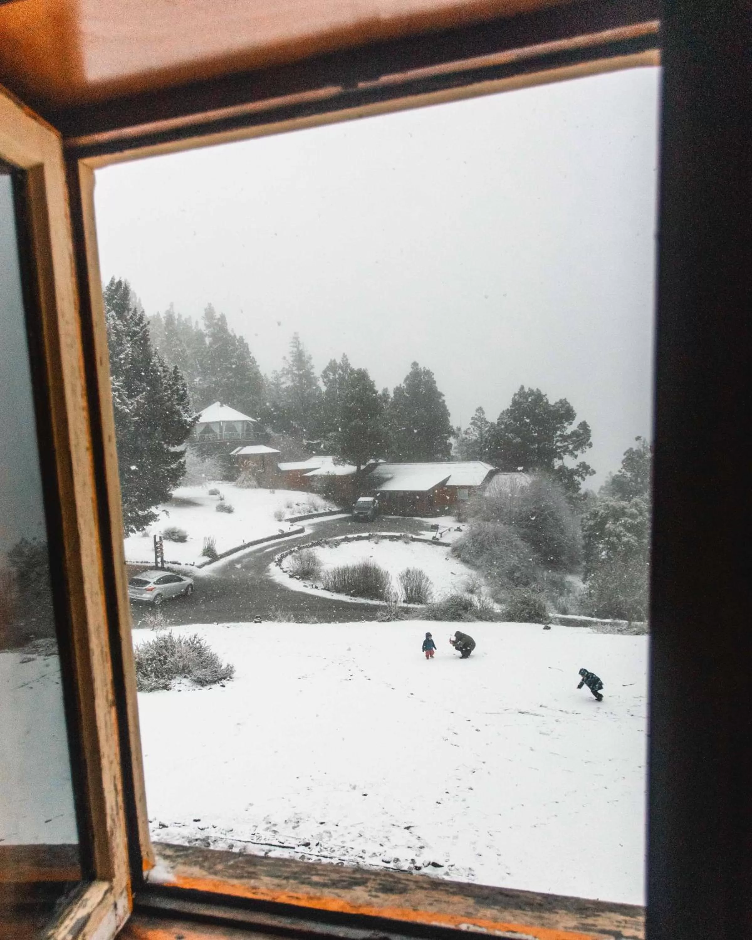 Natural landscape in Arrayan Lake View Mountain Lodge & Casa De Te Arrayan