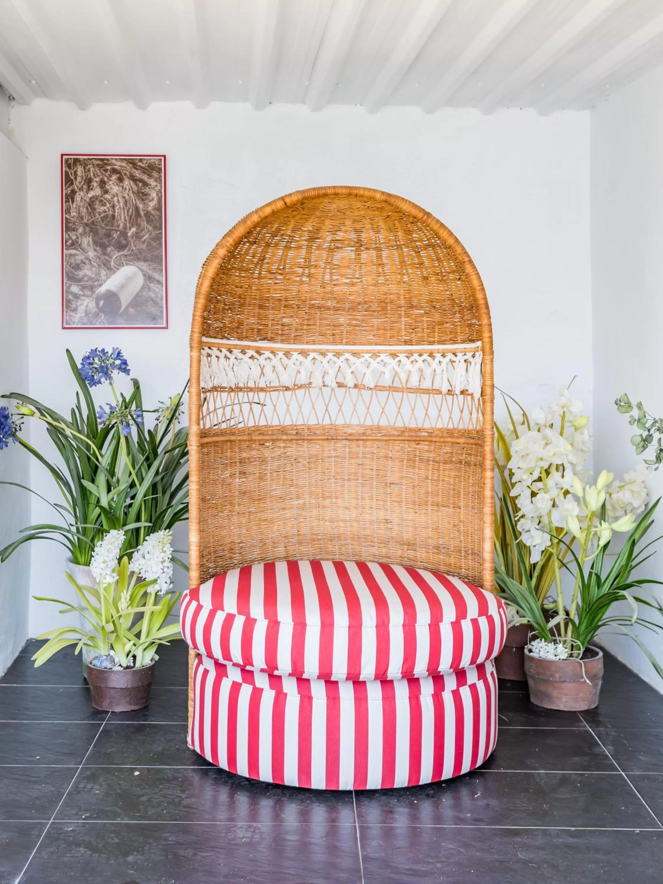 Maison Condesa Adults Only