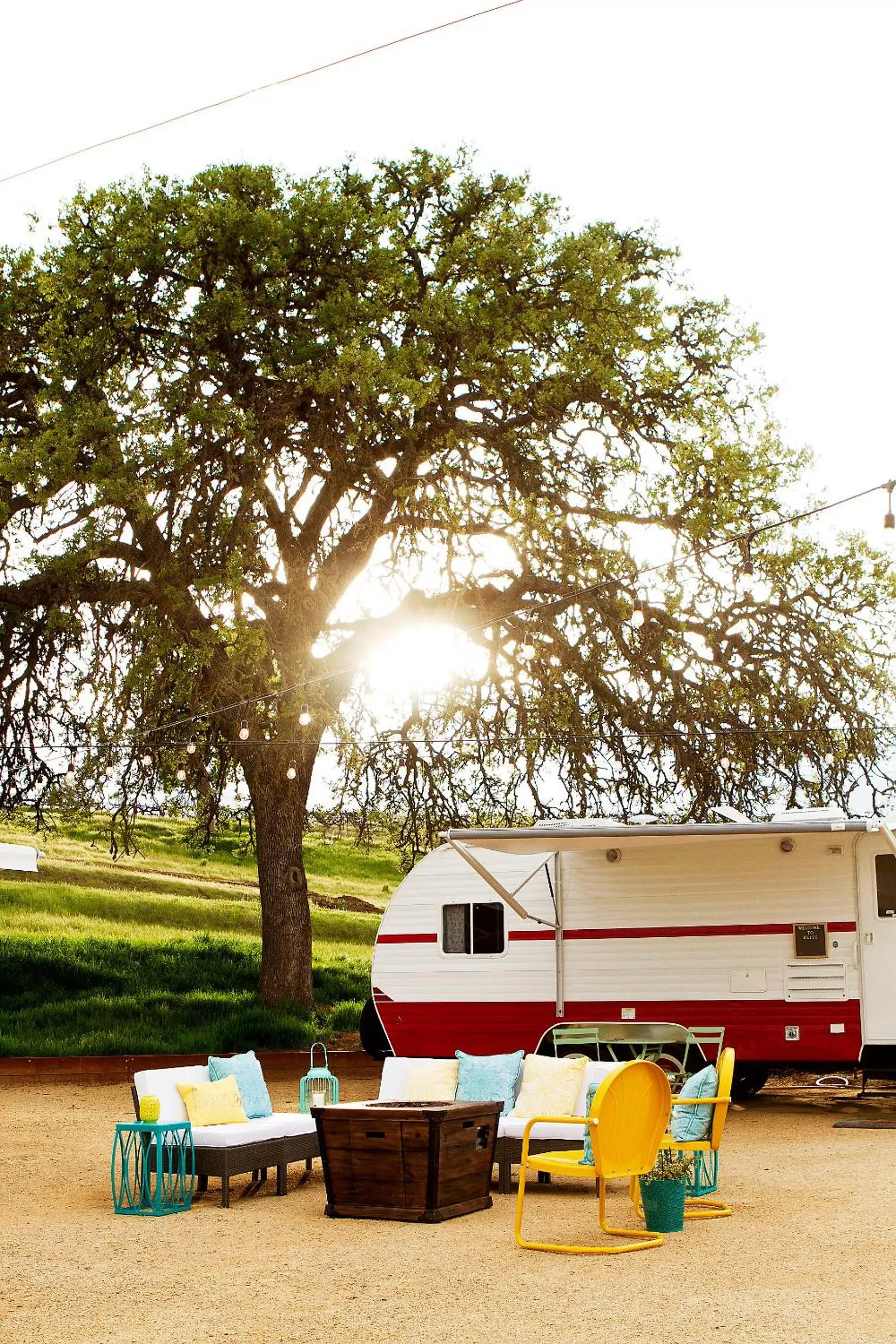 Rêves de Moutons Rêves de Moutons