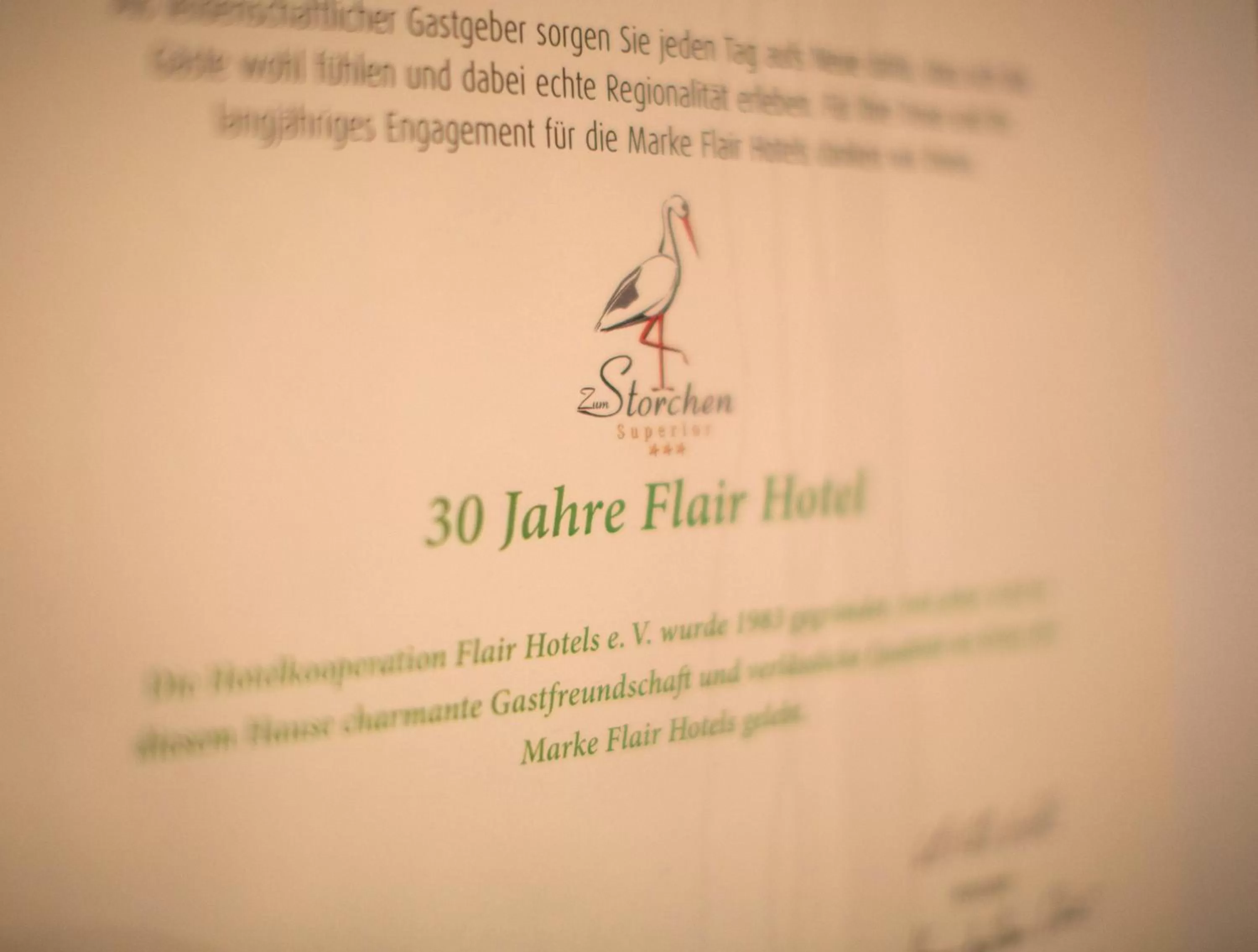 Other in Flair Hotel zum Storchen