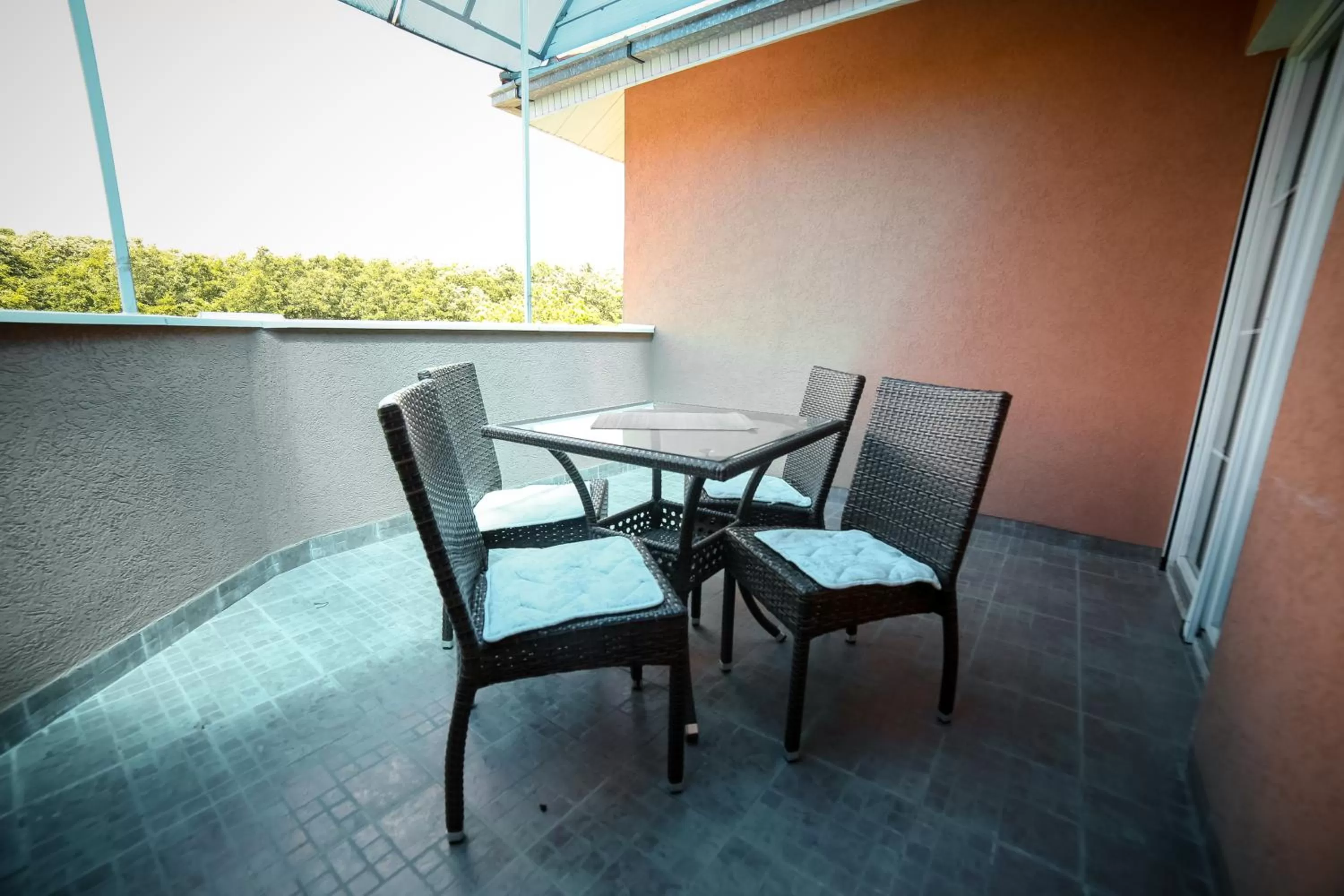 Balcony/Terrace in Garni Hotel Radović