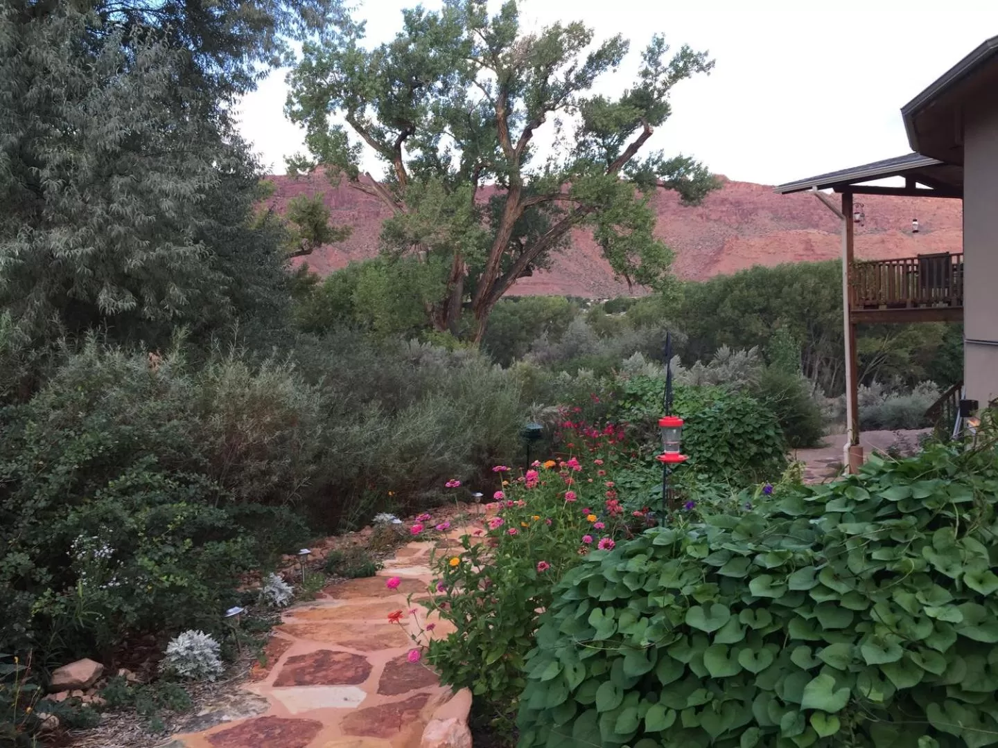 Garden in Red Moon Lodge