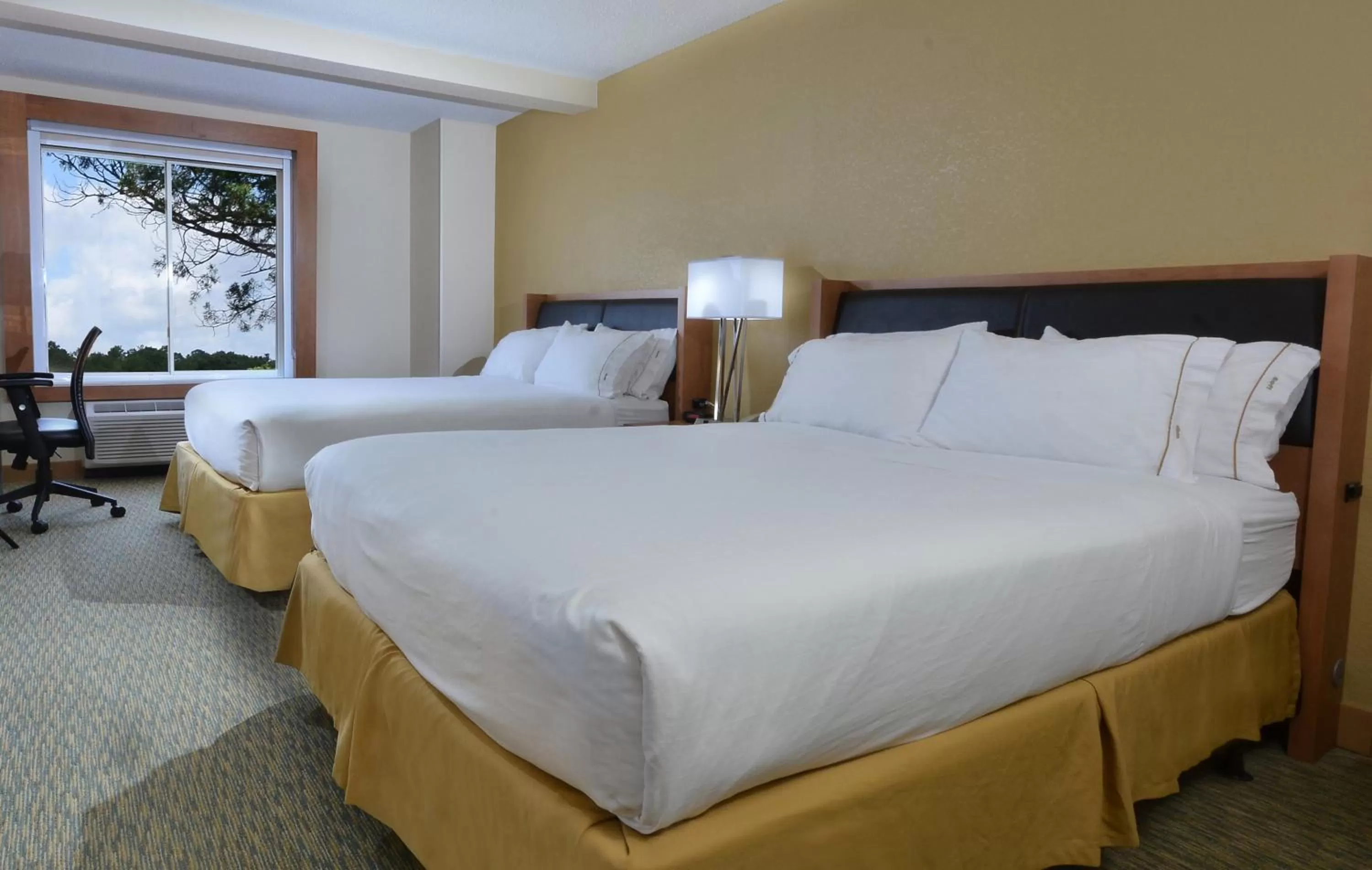 Queen Room with Two Queen Beds - Non-Smoking in Holiday Inn Express Hotel & Suites High Point South, an IHG Hotel