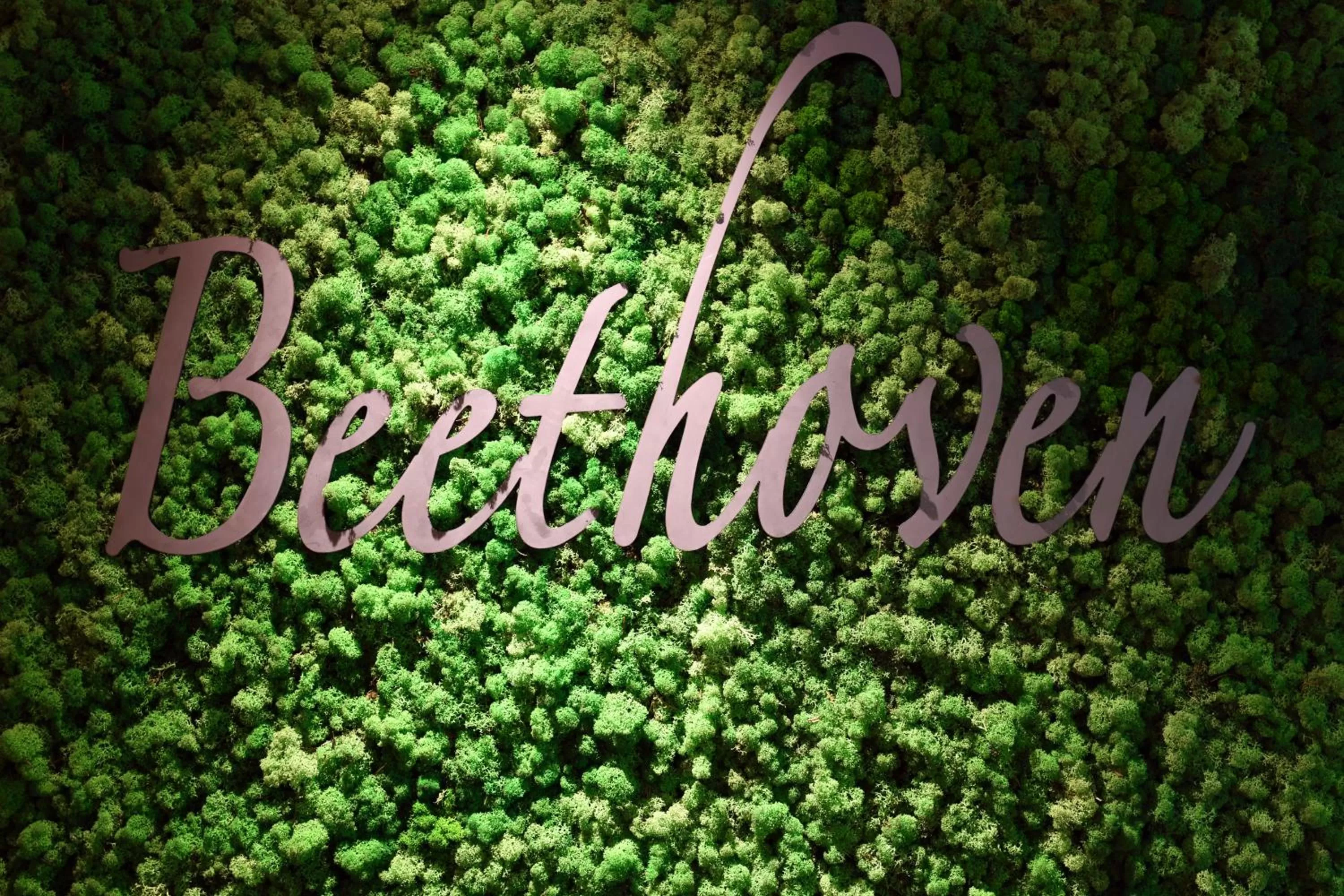 Restaurant/places to eat in Hotel Beethoven