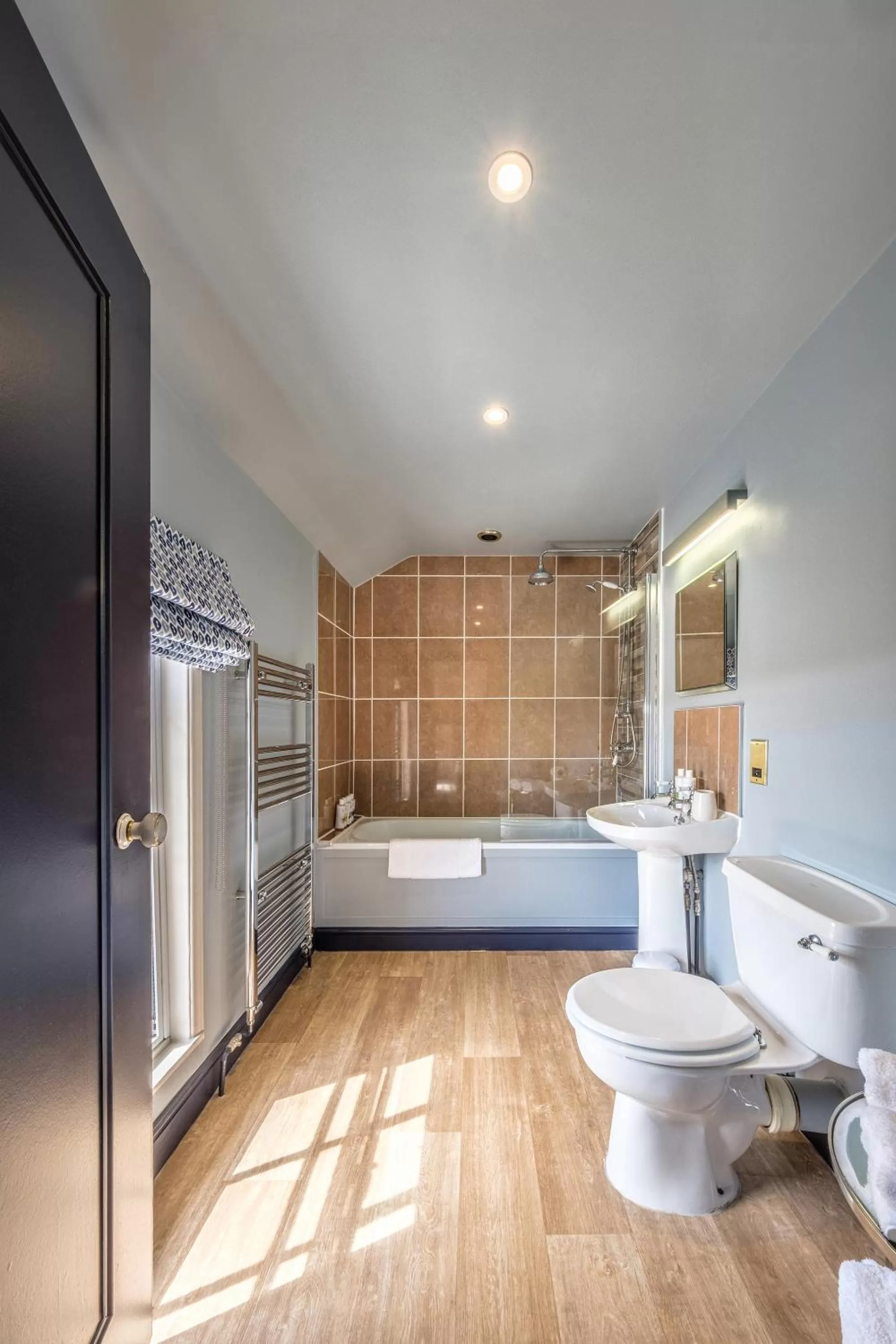 Toilet in The Black Lion, Long Melford